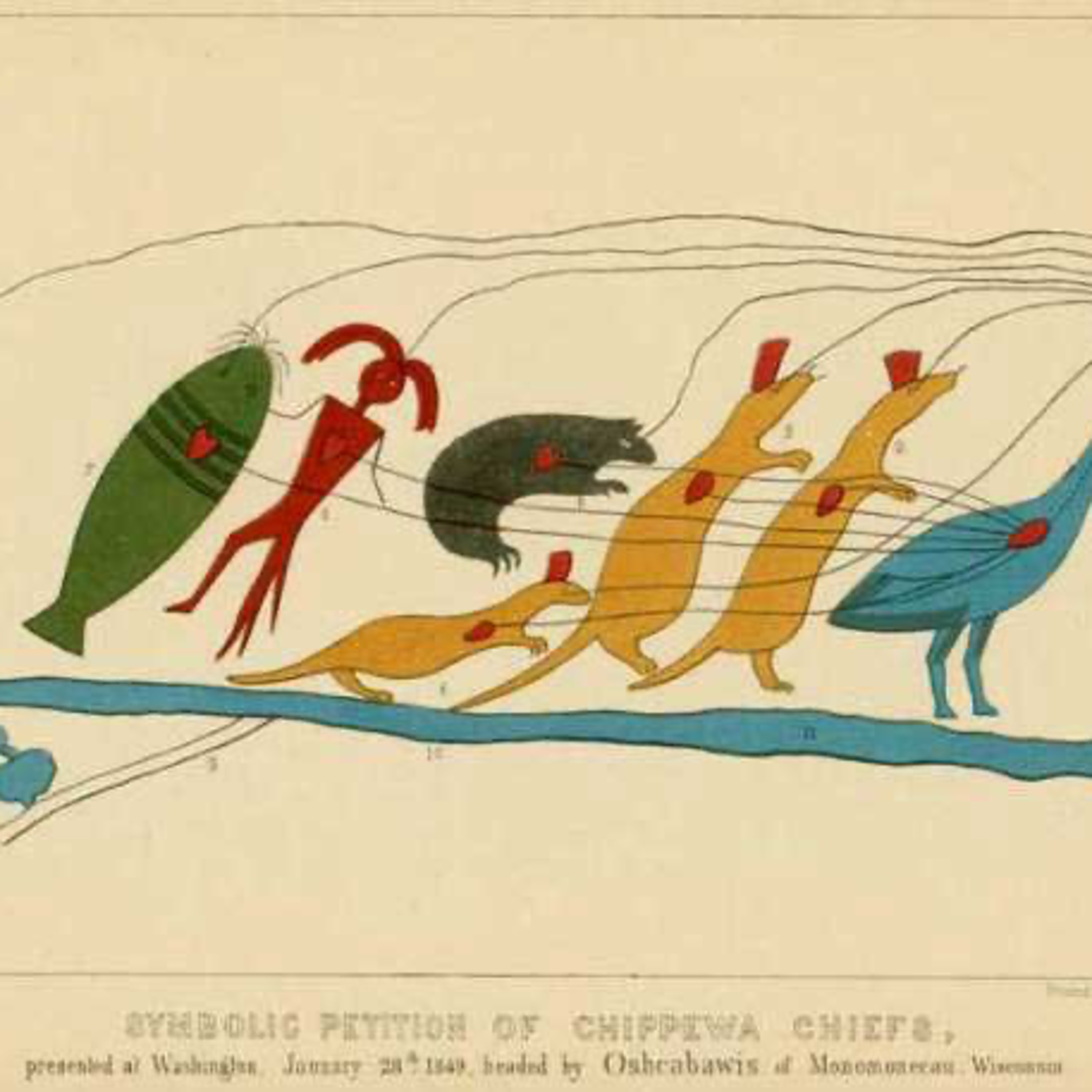 11. Thomas Linzey: Rights of Nature for our Non-Human Kin episode artwork
