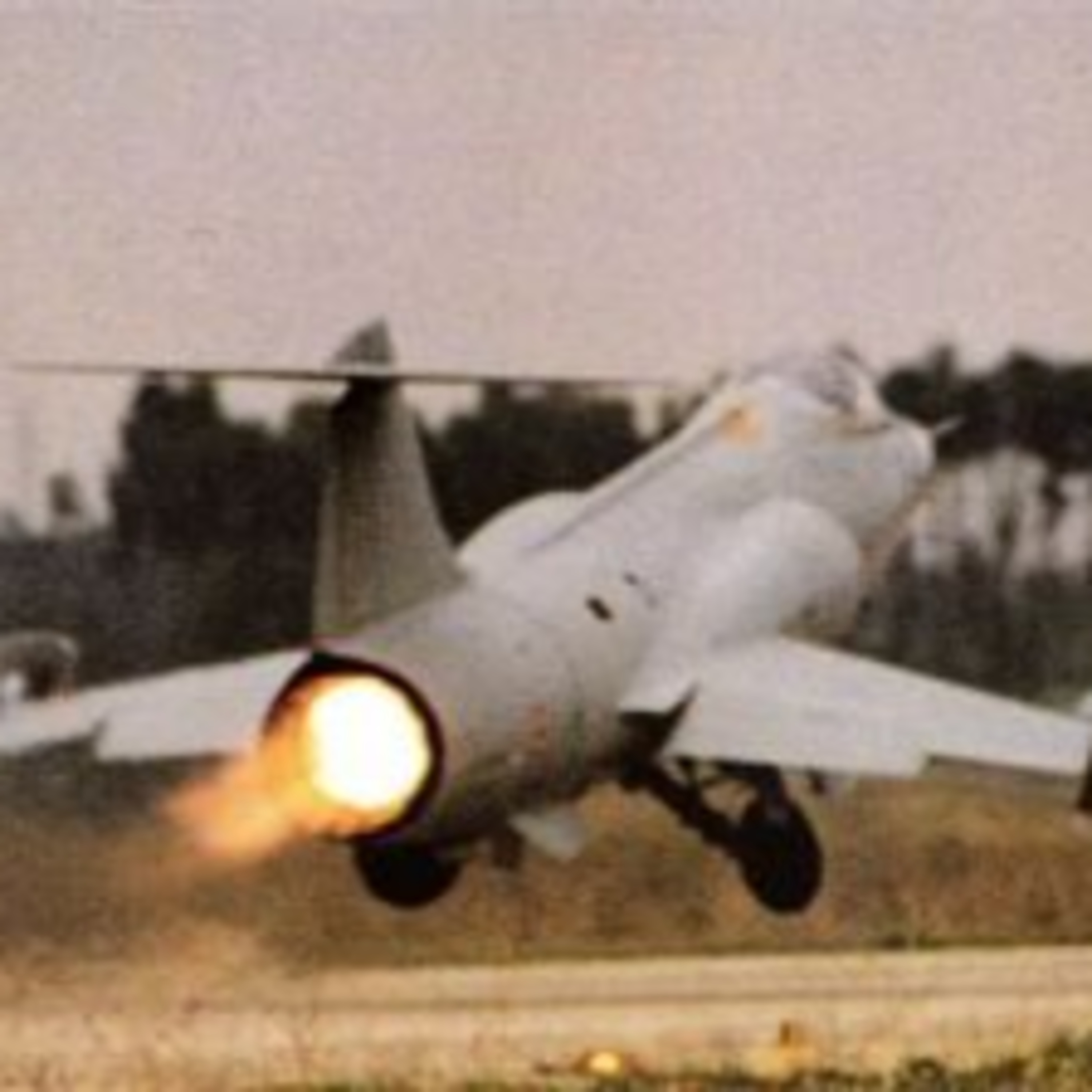 Hangar 41