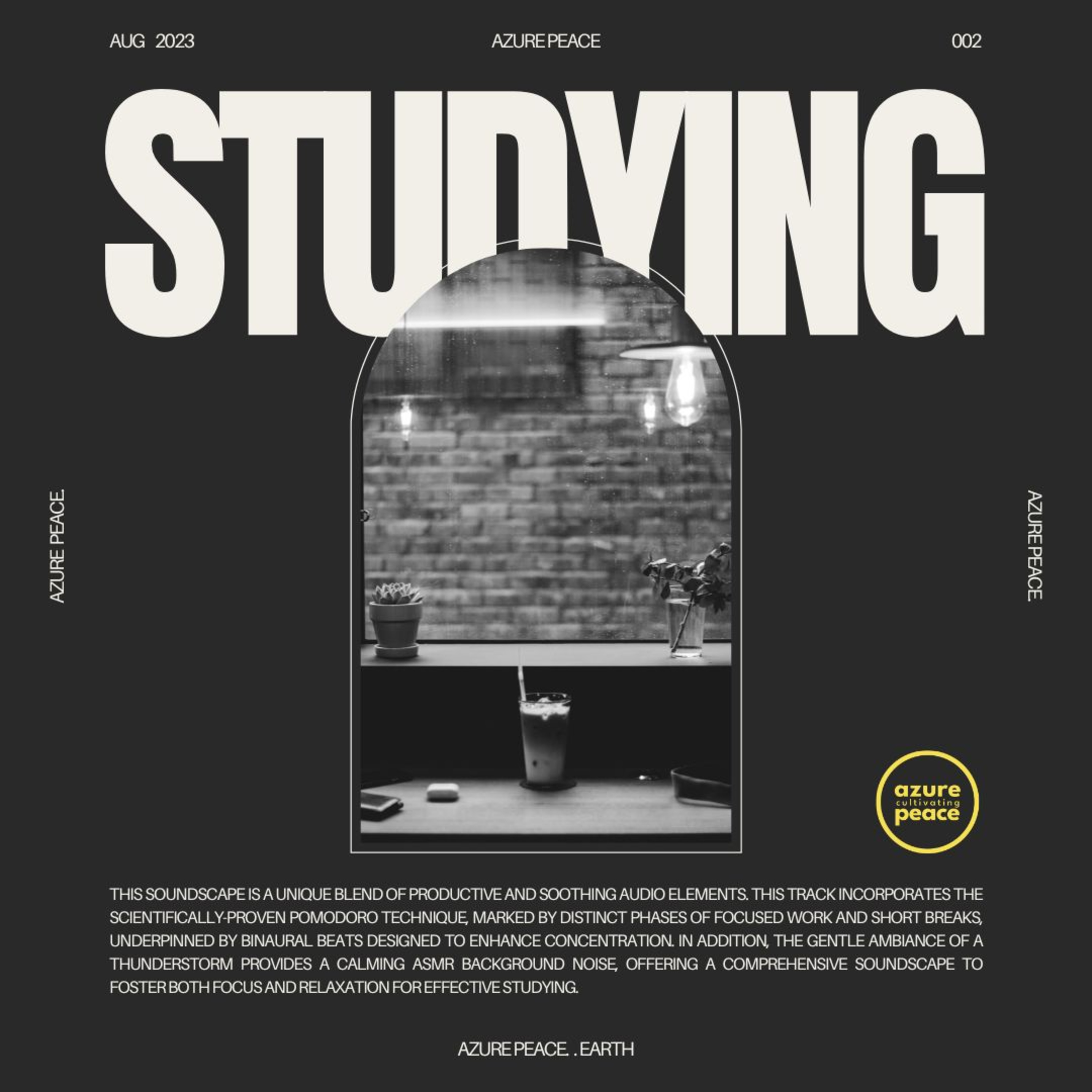Conscious Studying Binaural Pomodoro Storm Noise Blocking ASMR ✨🌱🌿🌴 episode artwork