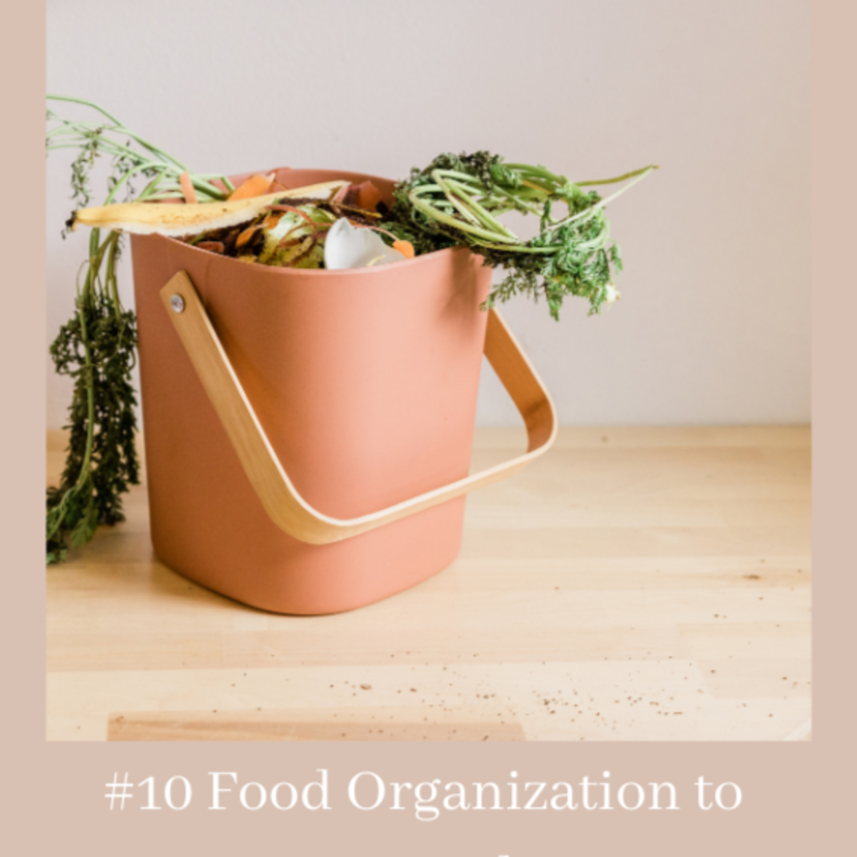 Food Organization to Prevent Food Waste episode artwork
