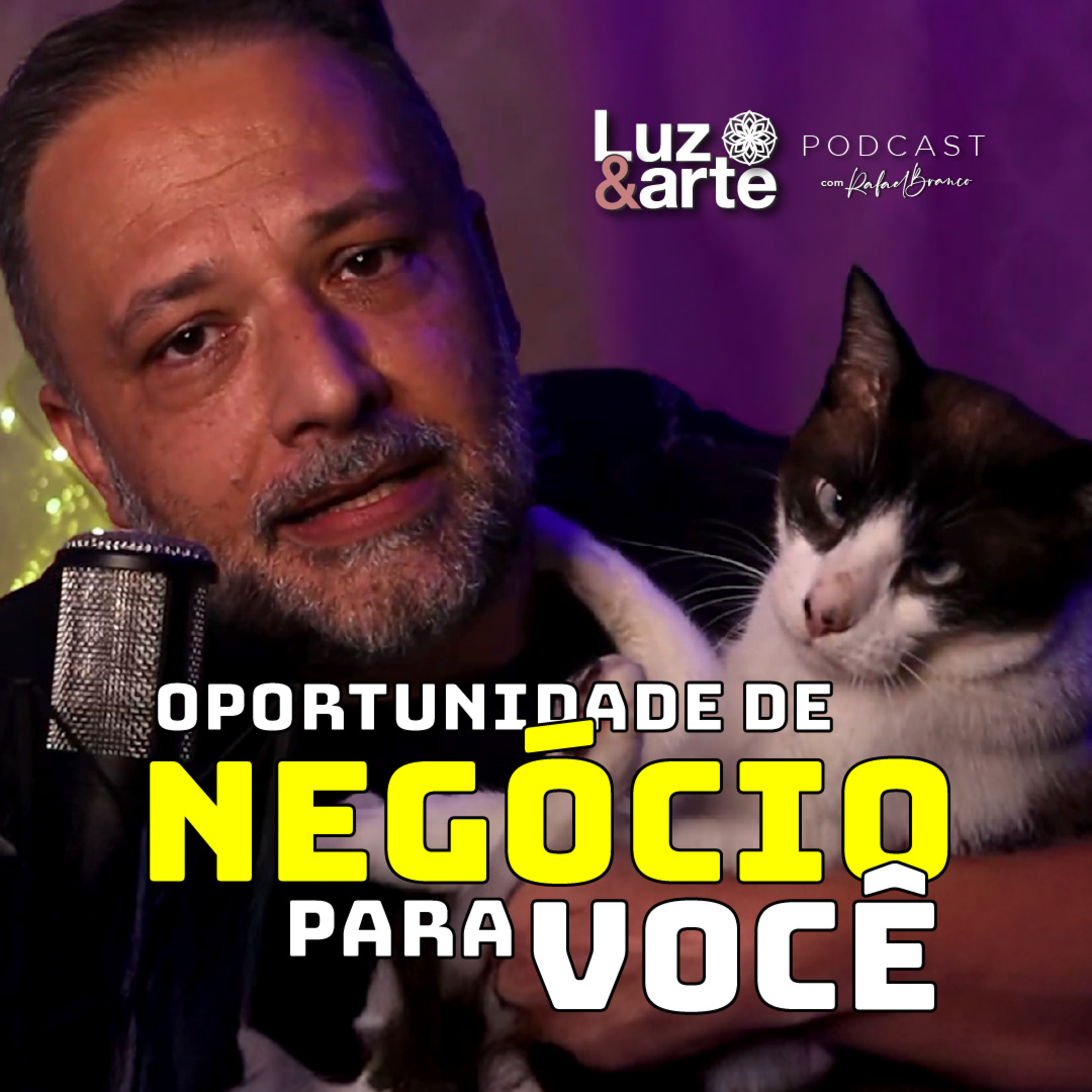 VENDA seus Produtos Online na Luz e Arte, Mercado Livre e outros Marketplaces episode artwork