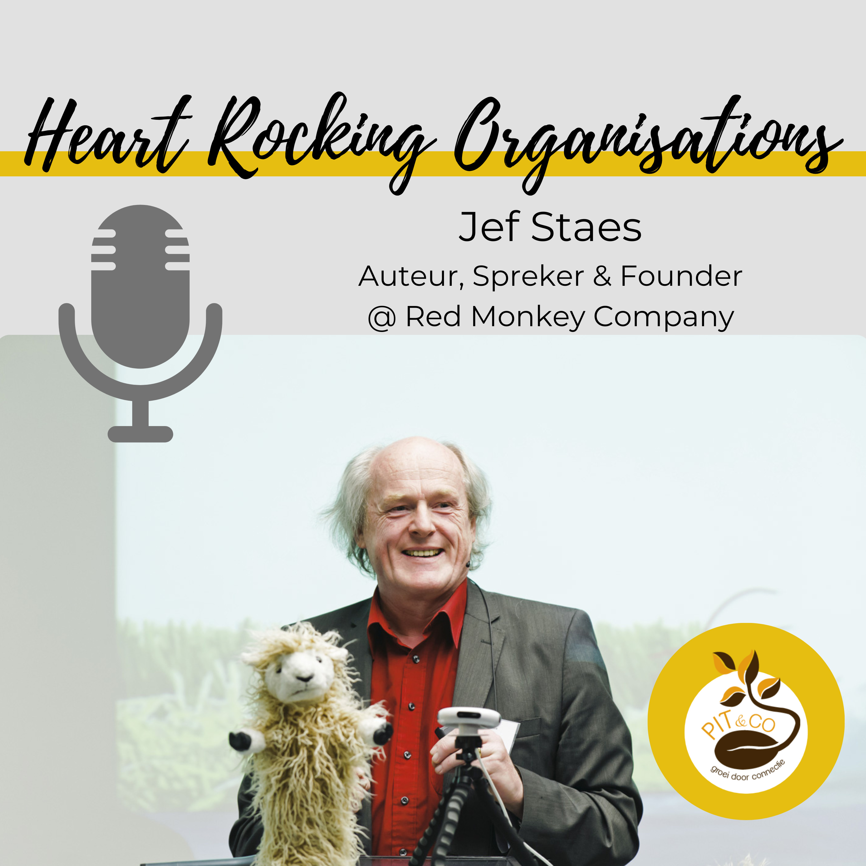 Heart Rocking Organisations
