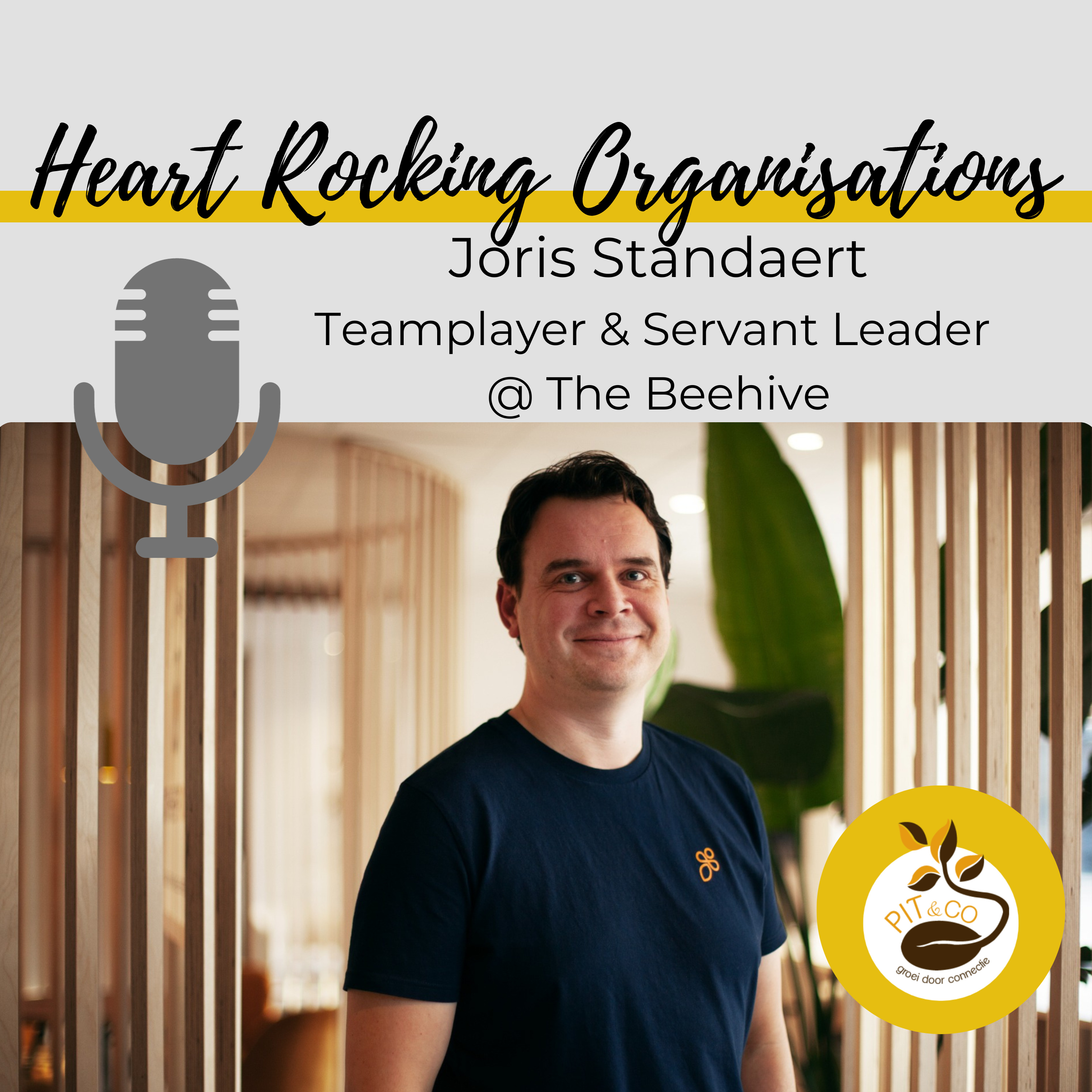 Heart Rocking Organisations