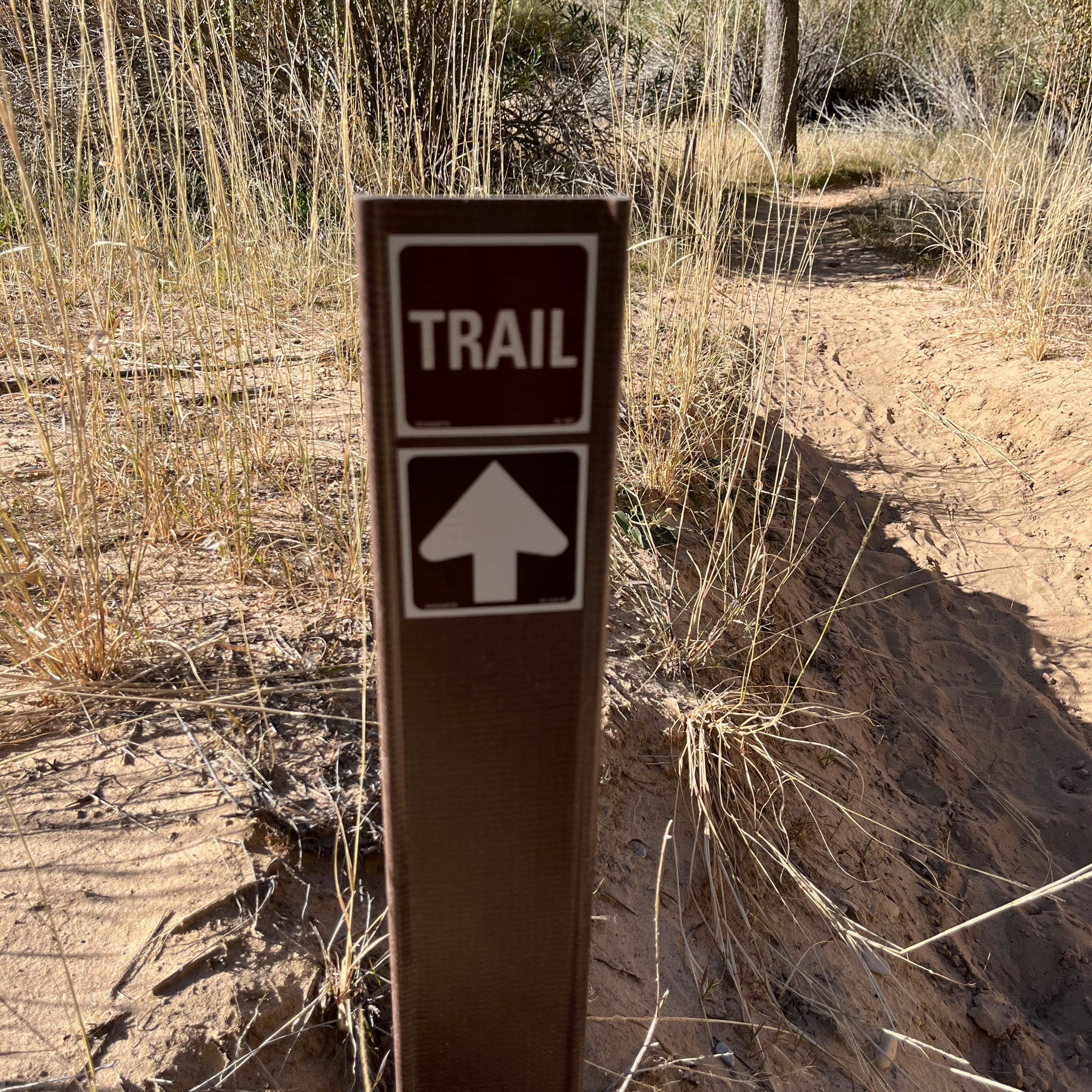 cover of episode Trail Markers and the questions we get asked