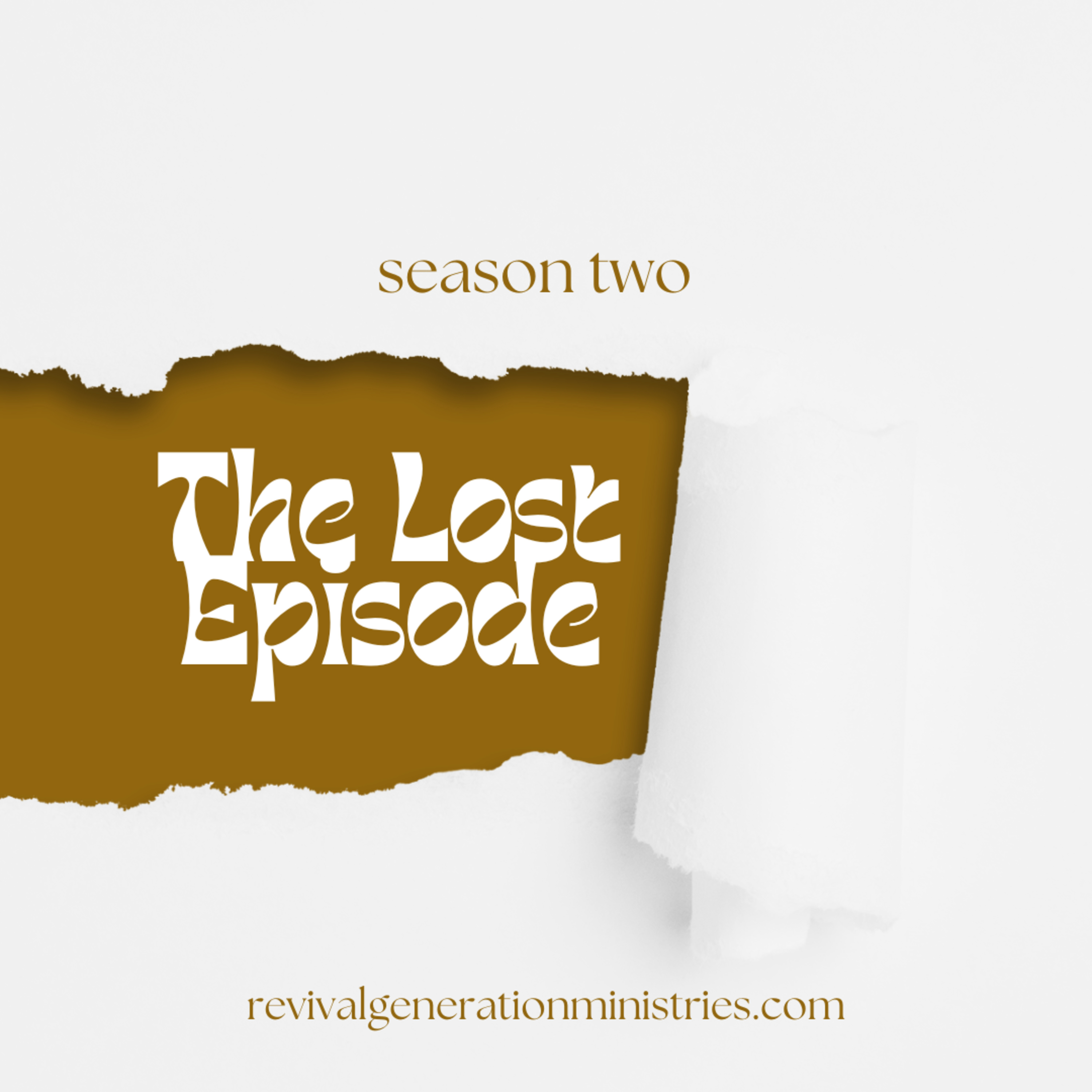 The Lost Episode... episode artwork