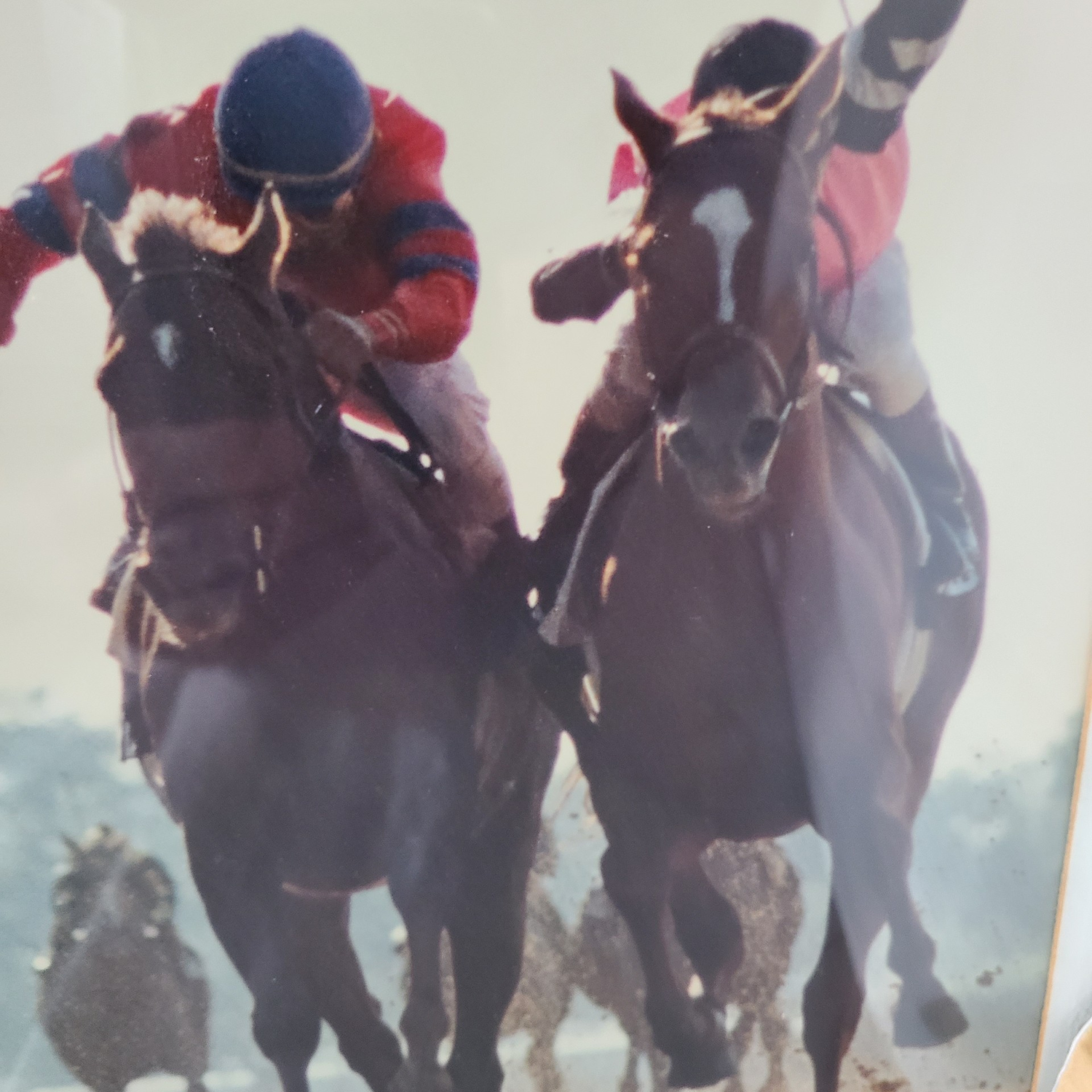 Alternate Shots - Golf, Poker, Horse Racing, Classic Movies +