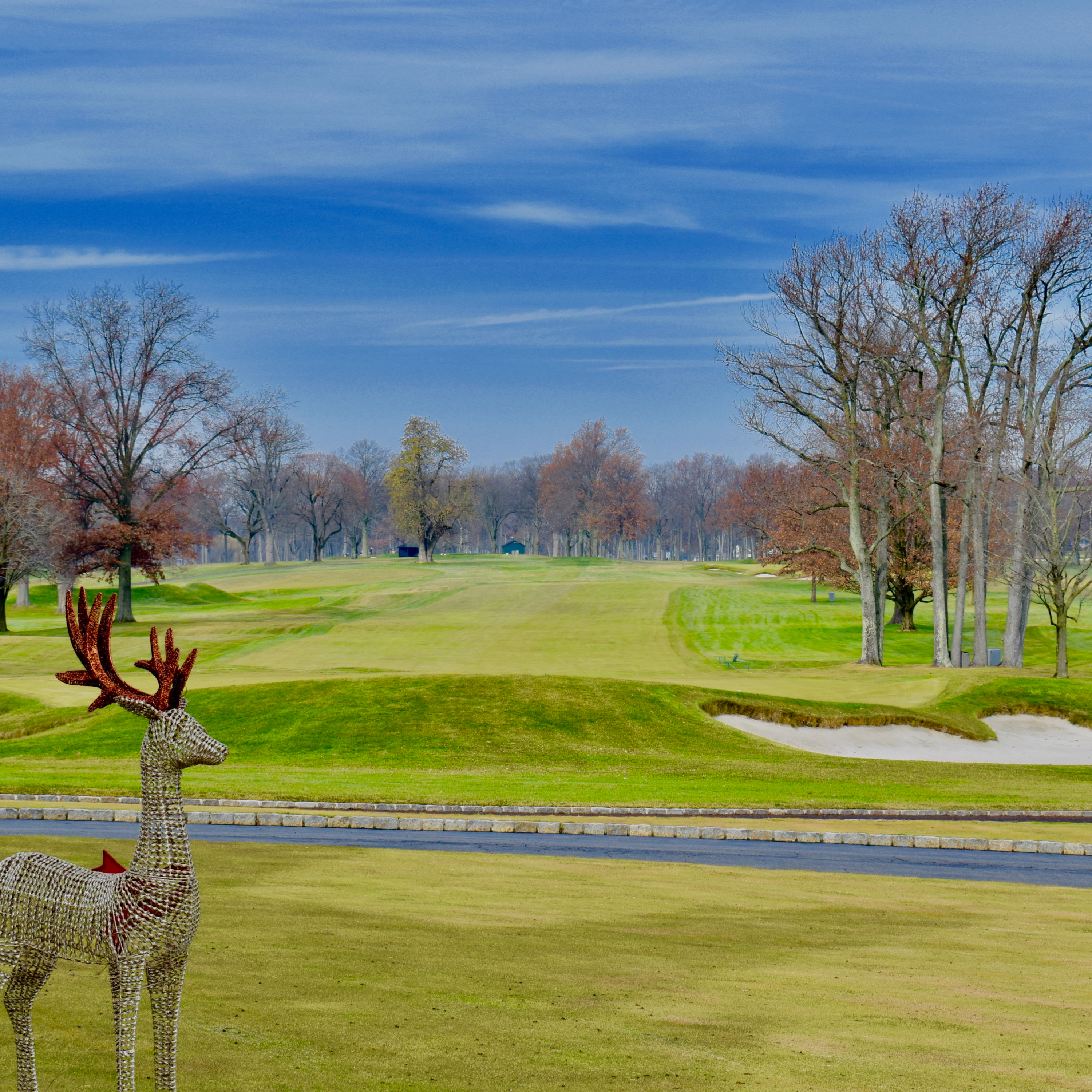Alternate Shots - Golf, Poker, Horse Racing, Classic Movies +