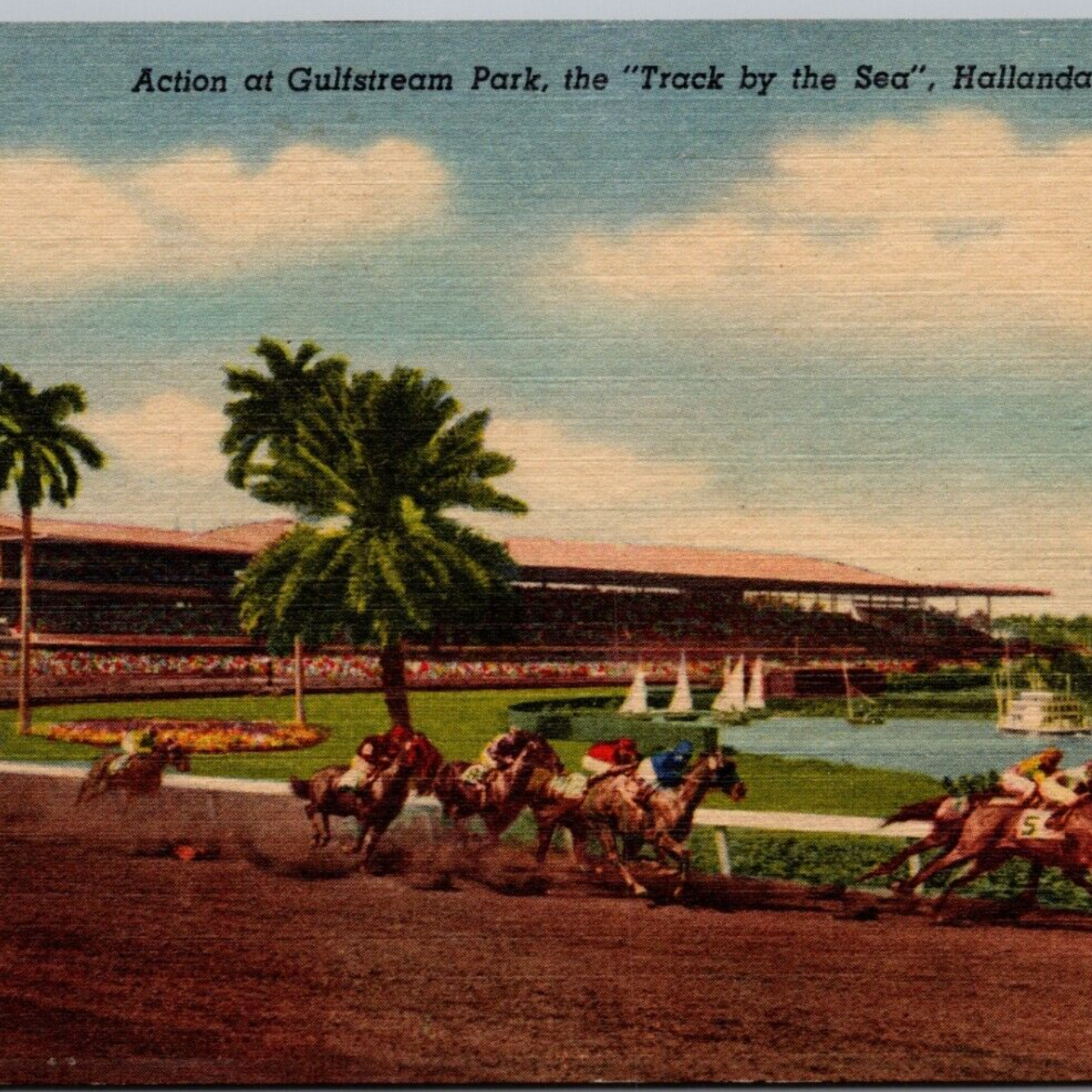 Alternate Shots - Golf, Poker, Horse Racing, Classic Movies +
