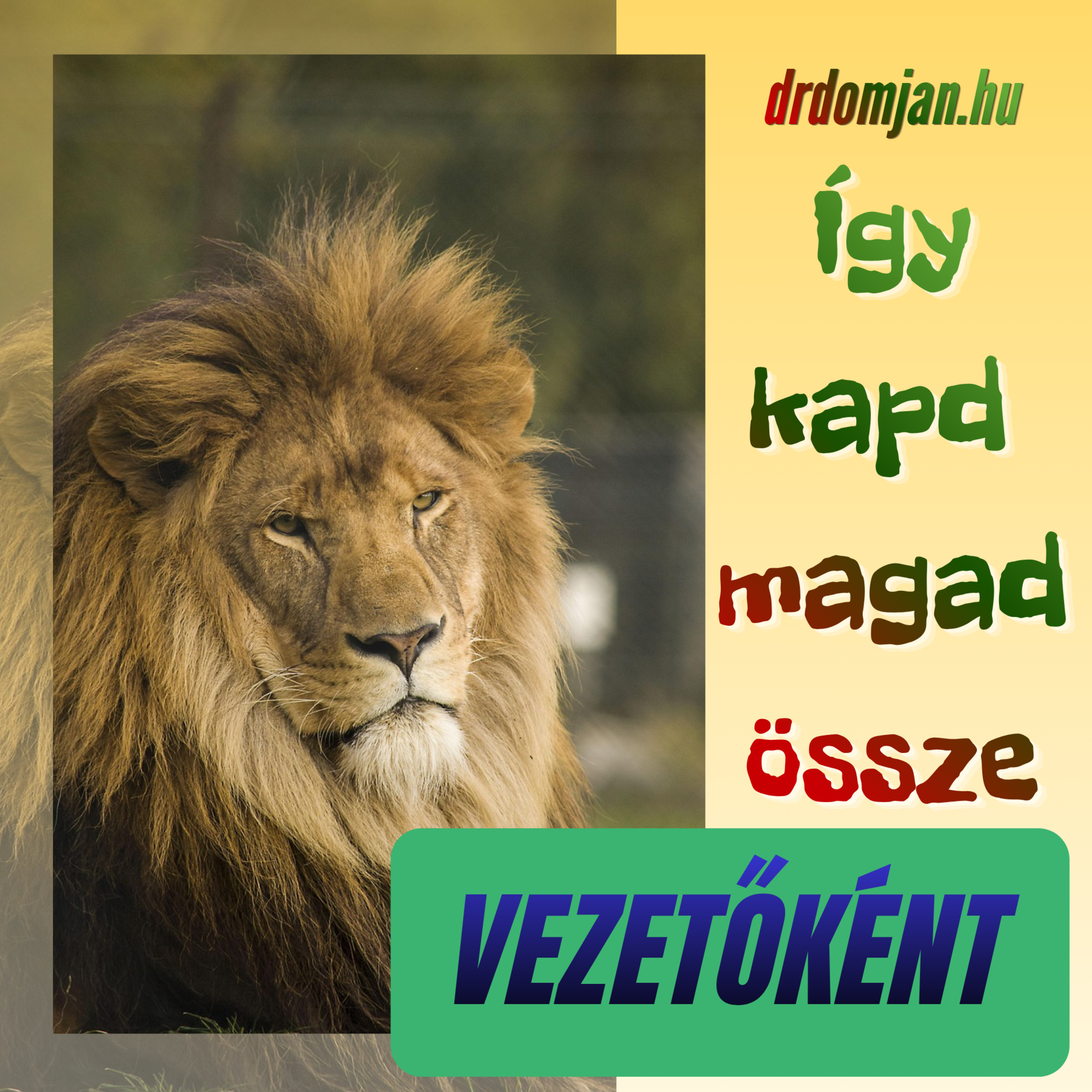 VII/9. Így kapd össze magad vezetőként episode artwork