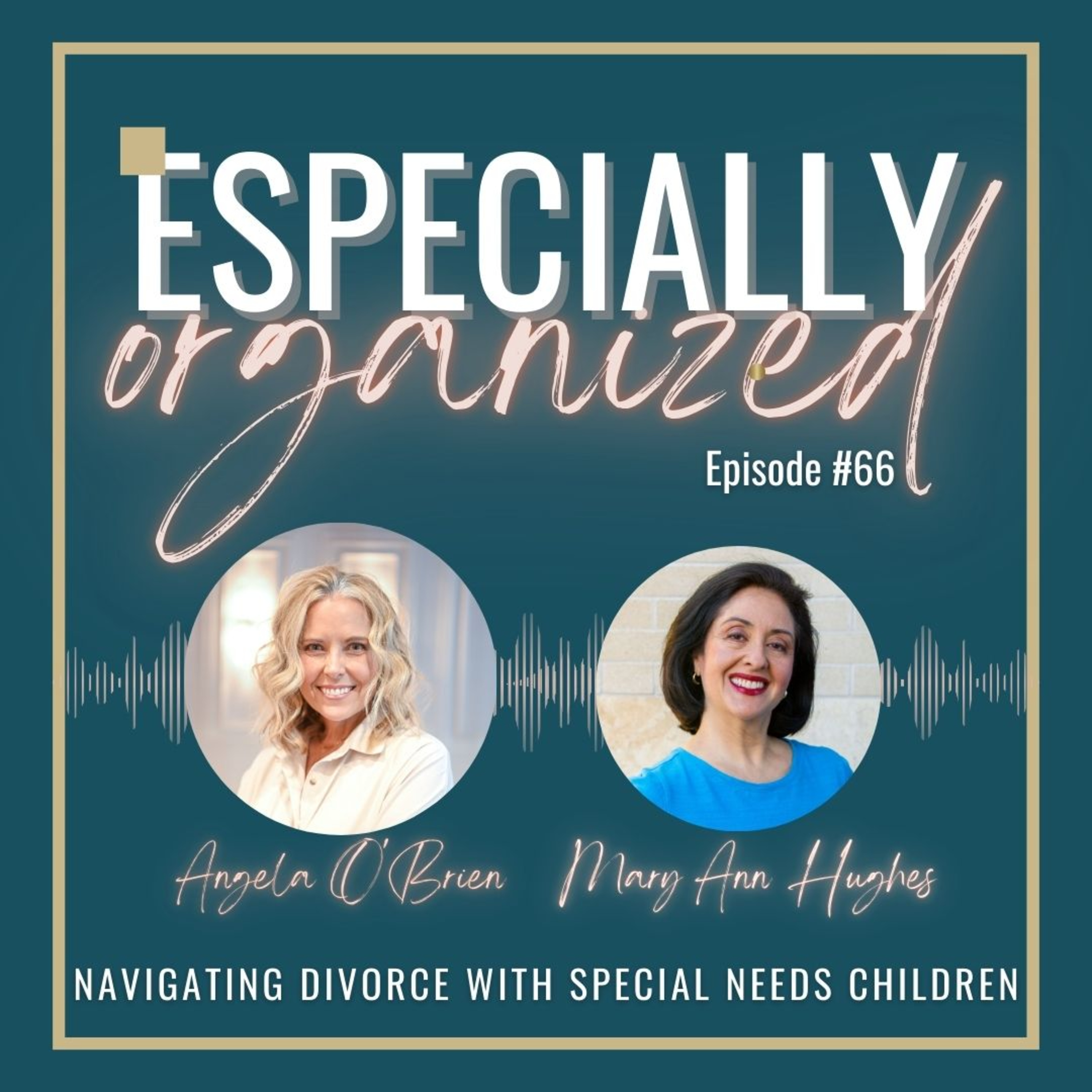 Especially Organized: Sensible Solutions for Special Needs Moms
