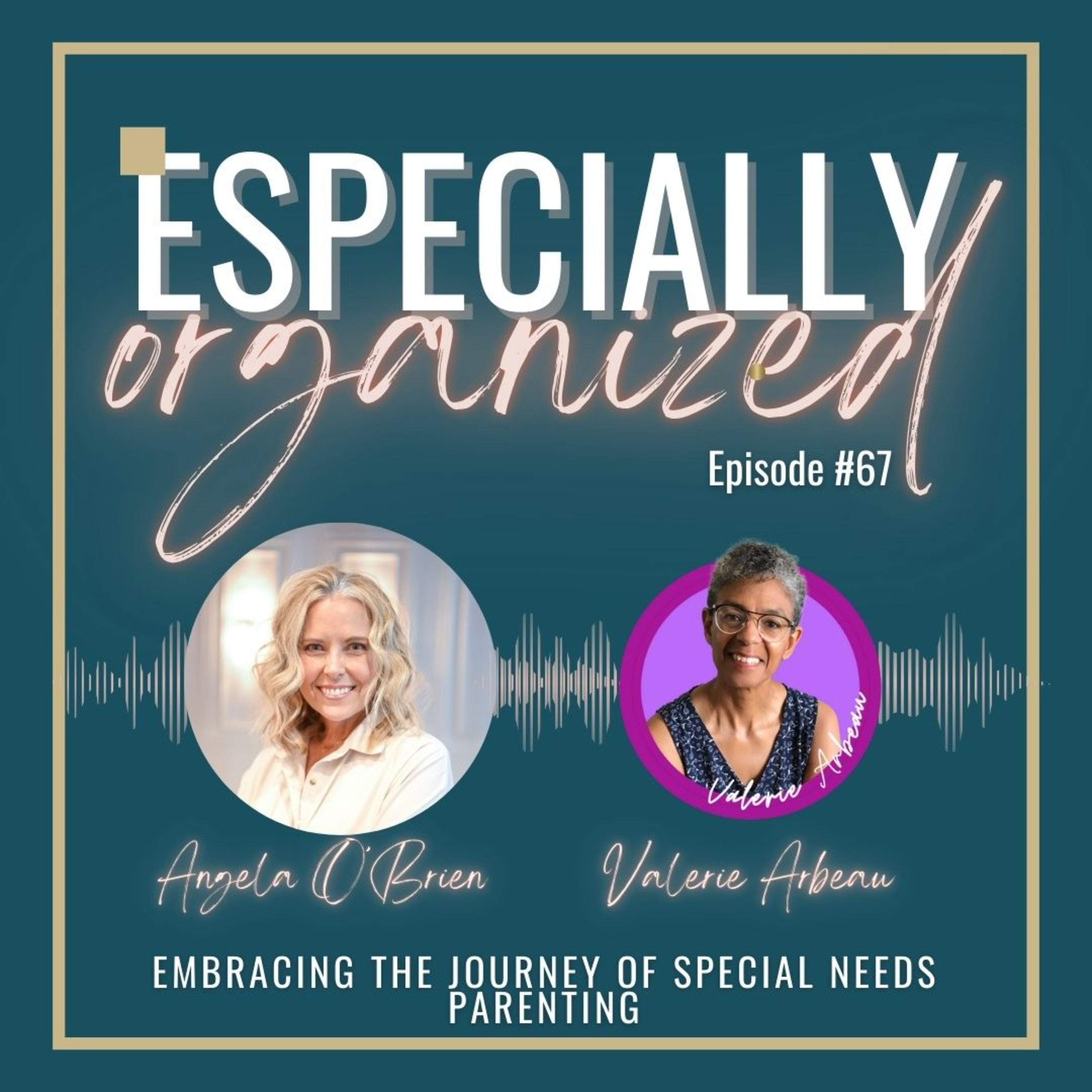 Especially Organized: Sensible Solutions for Special Needs Moms