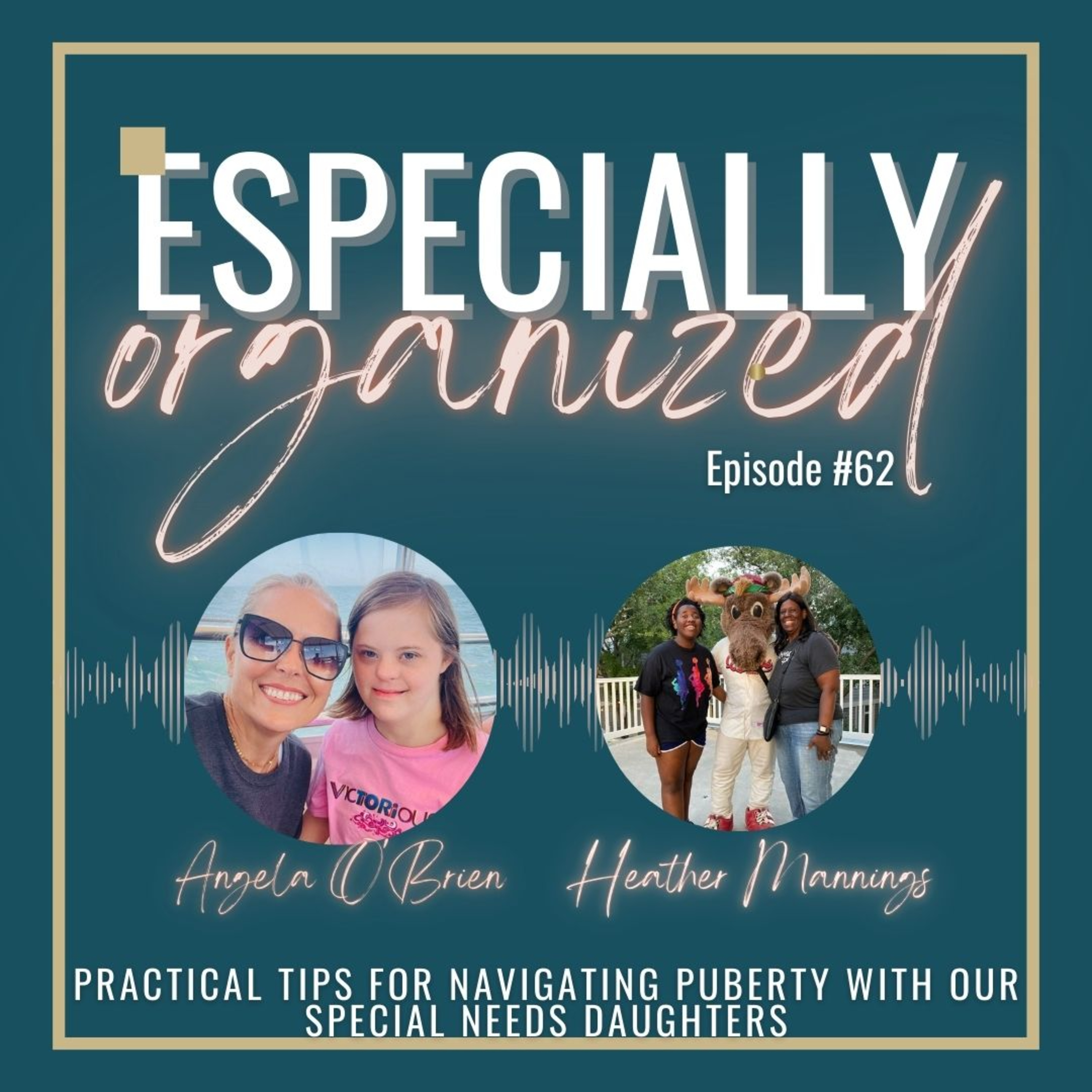 Especially Organized: Sensible Solutions for Special Needs Moms