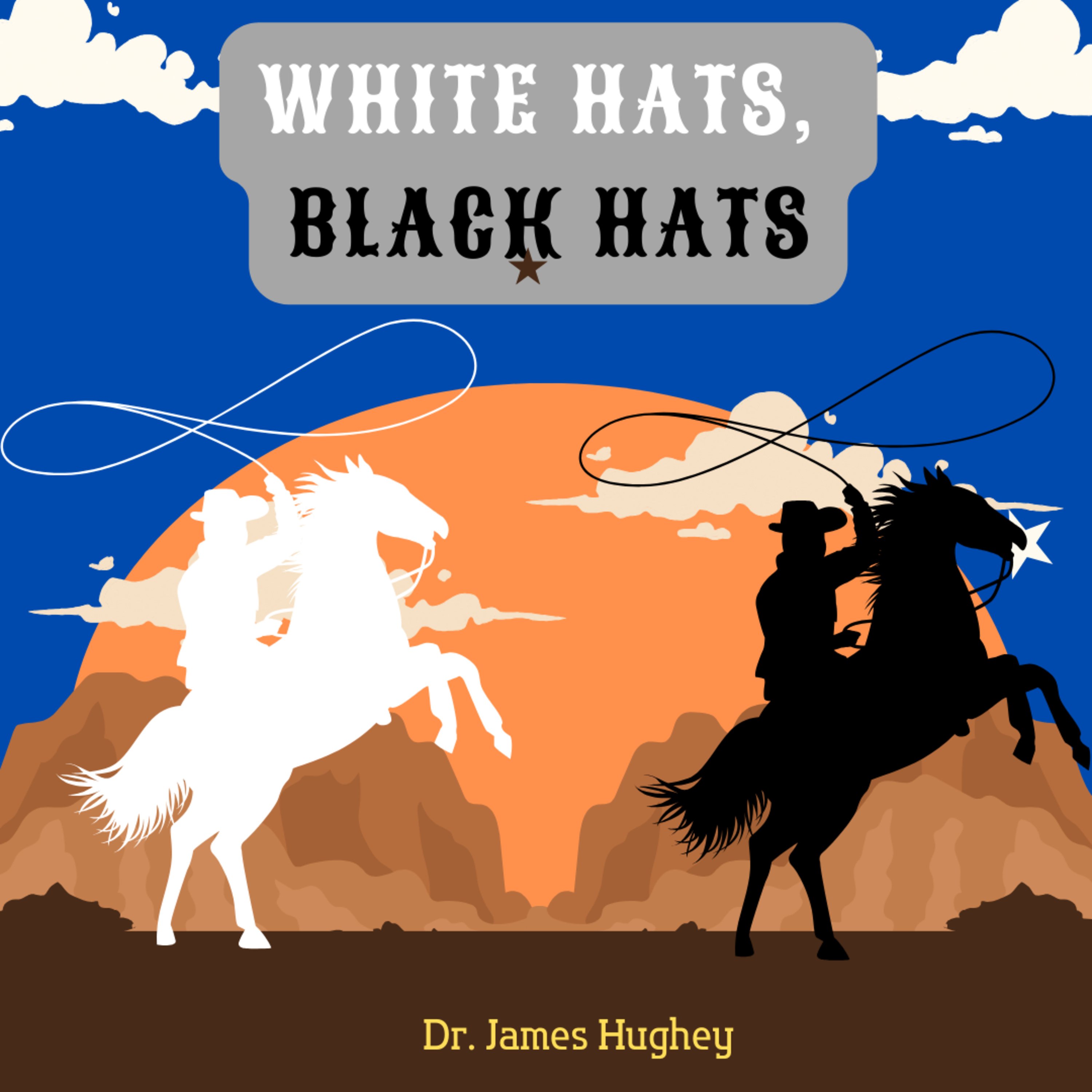 9.3 White Hats, Black Hats episode artwork
