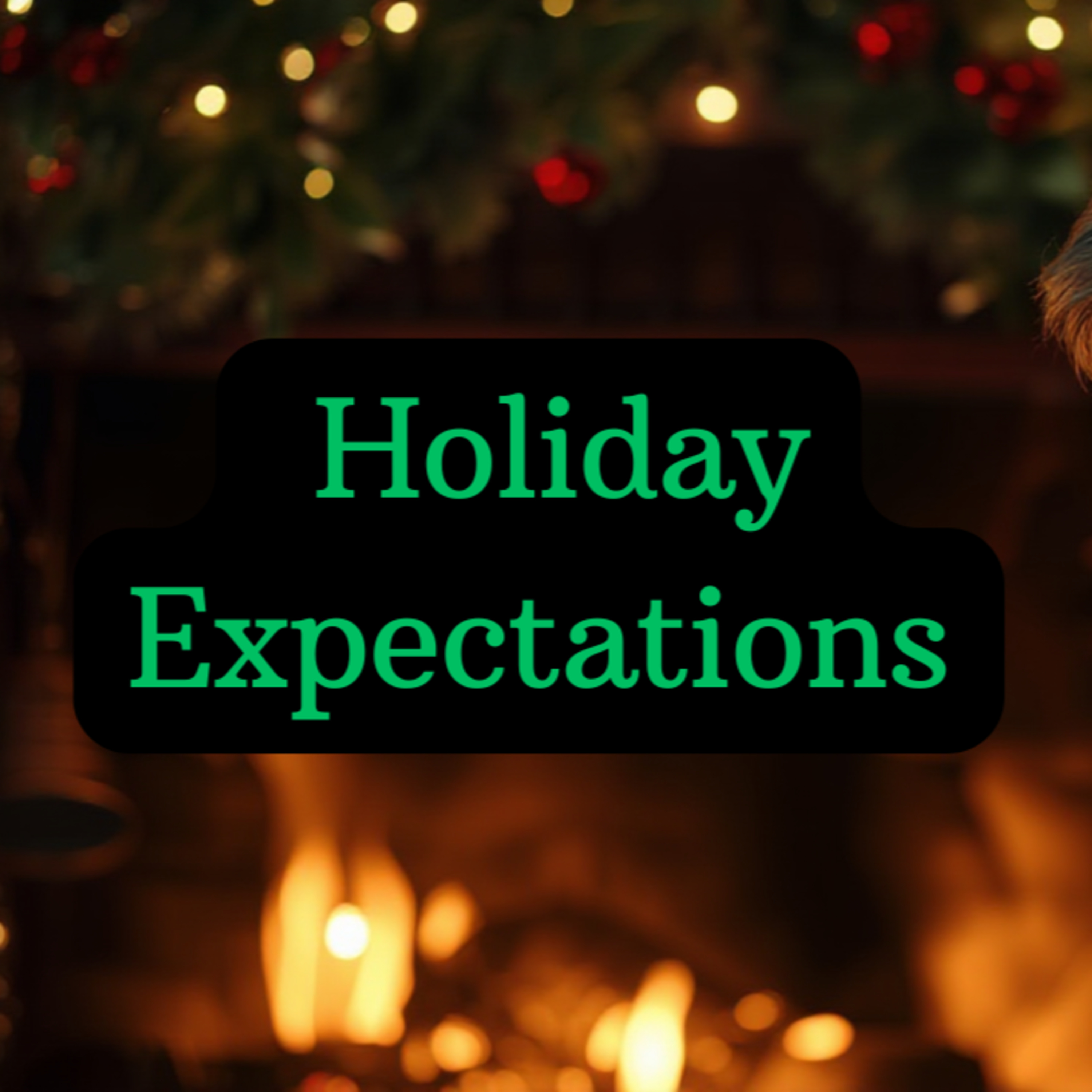 (EP48) Holiday Expectations episode artwork