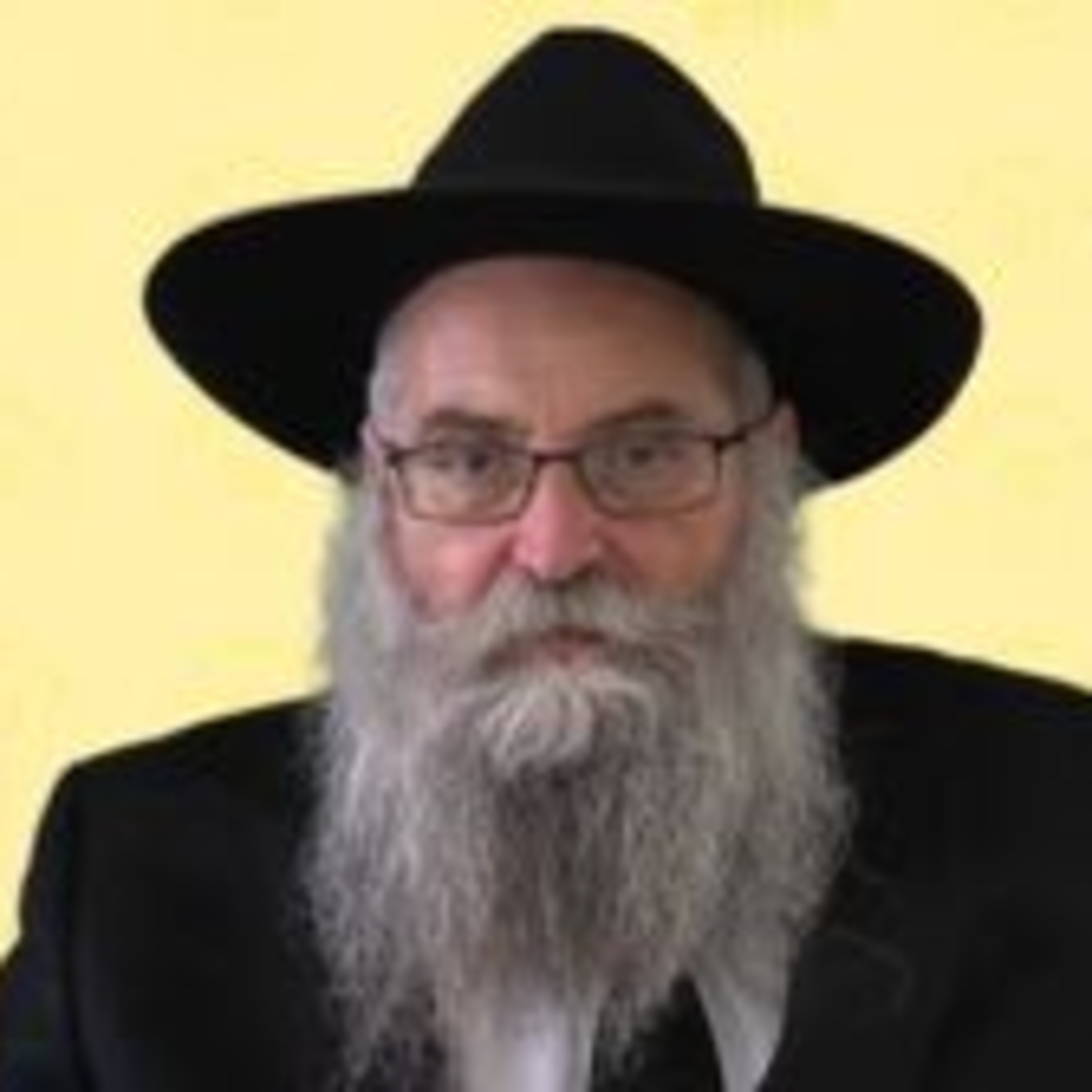 חינוך הילדים לכ' אב - הרב יוסף אברהם פיזם שליט"א episode artwork