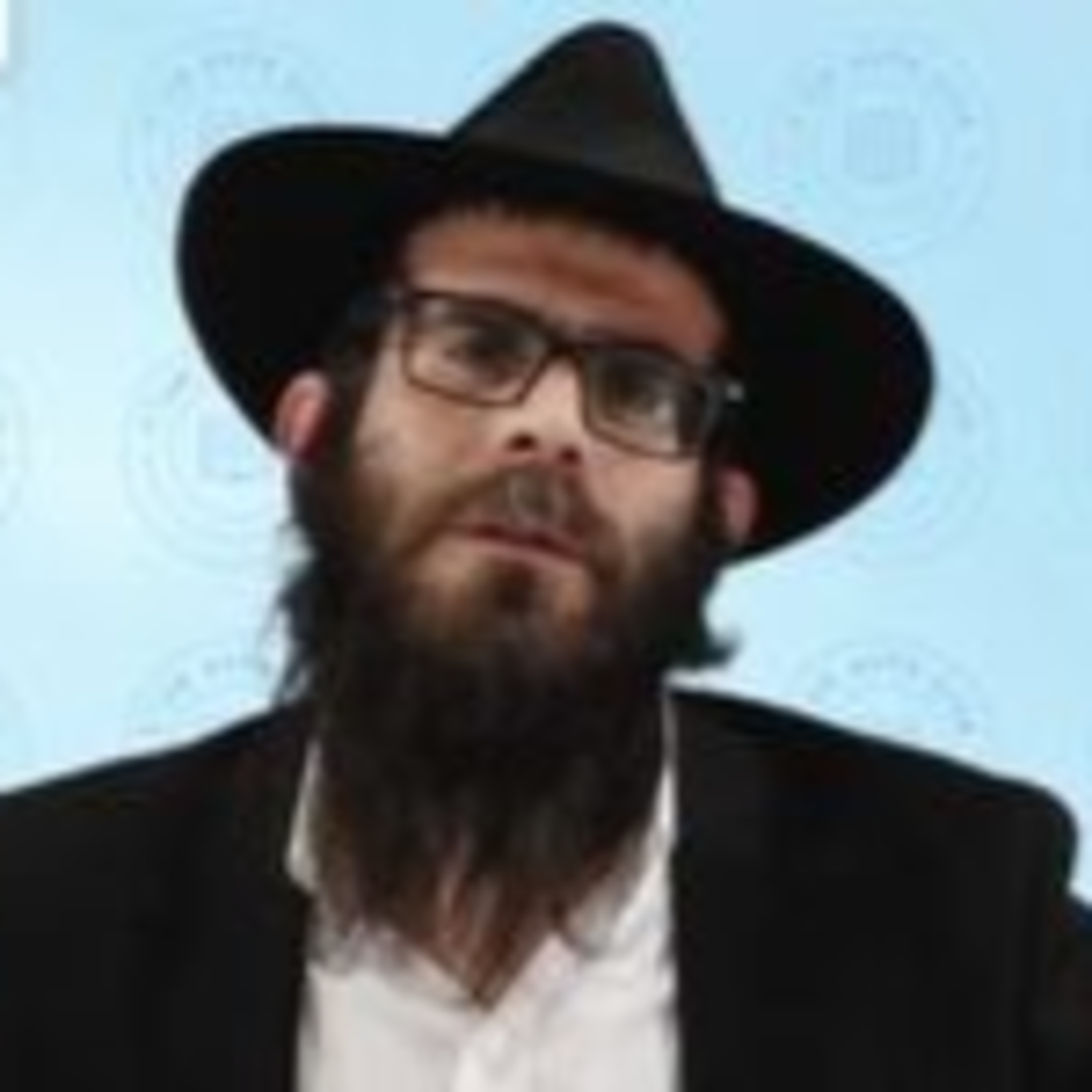 דיני החזרה בשבת - הרב שניאור זלמן פלדמן שליט"א episode artwork