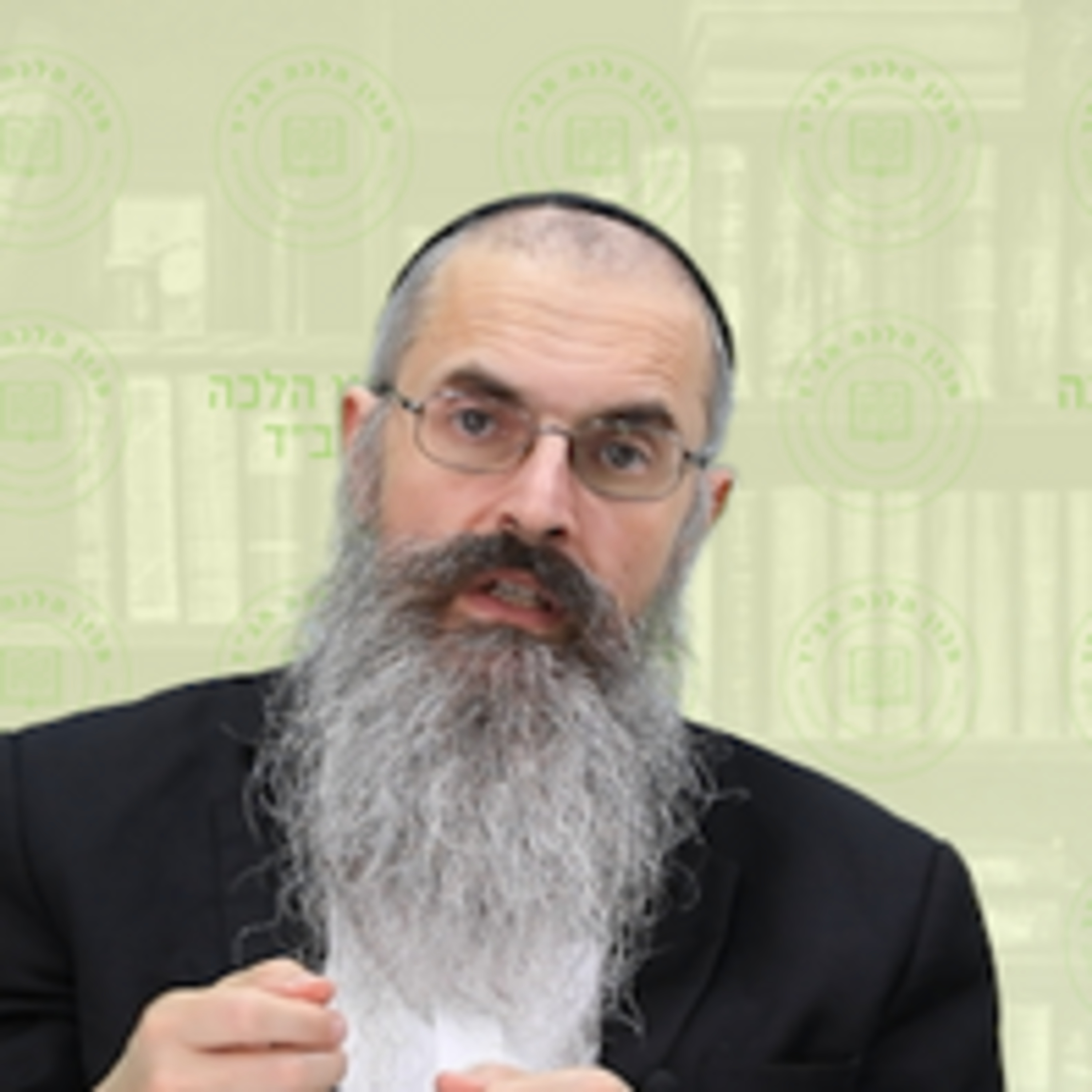 שבת במקדש - ירון יצחק לדרמן שליט"א episode artwork