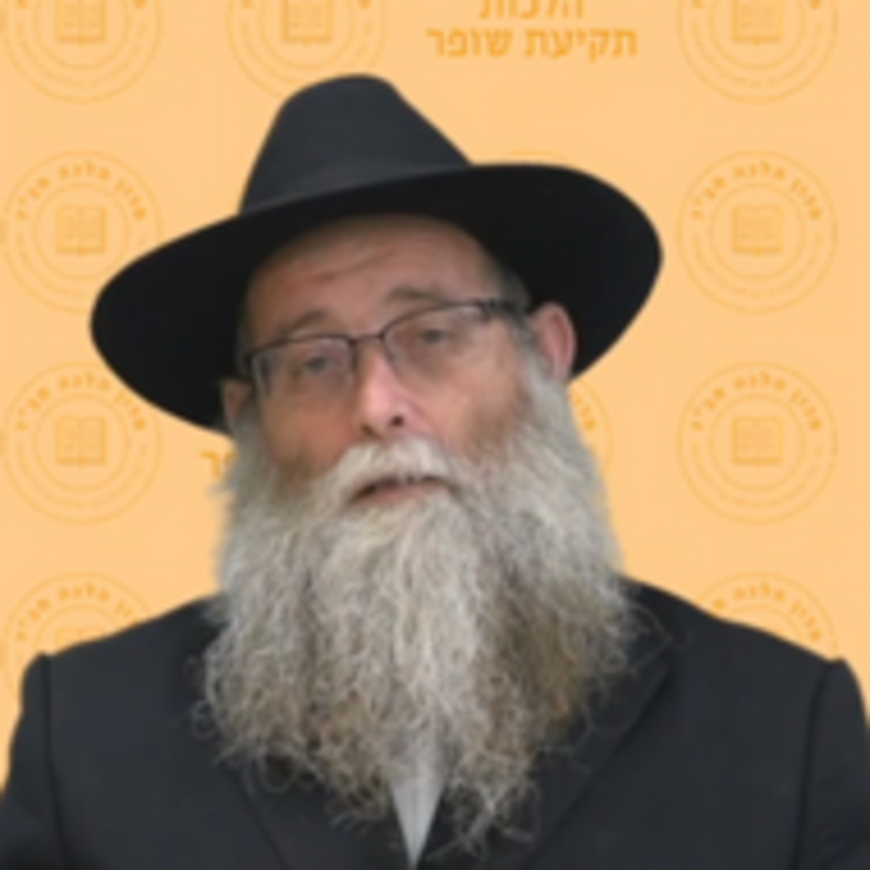 הלכות תקיעת שופר - הרב ברוך לבקיבקר שליט"א episode artwork