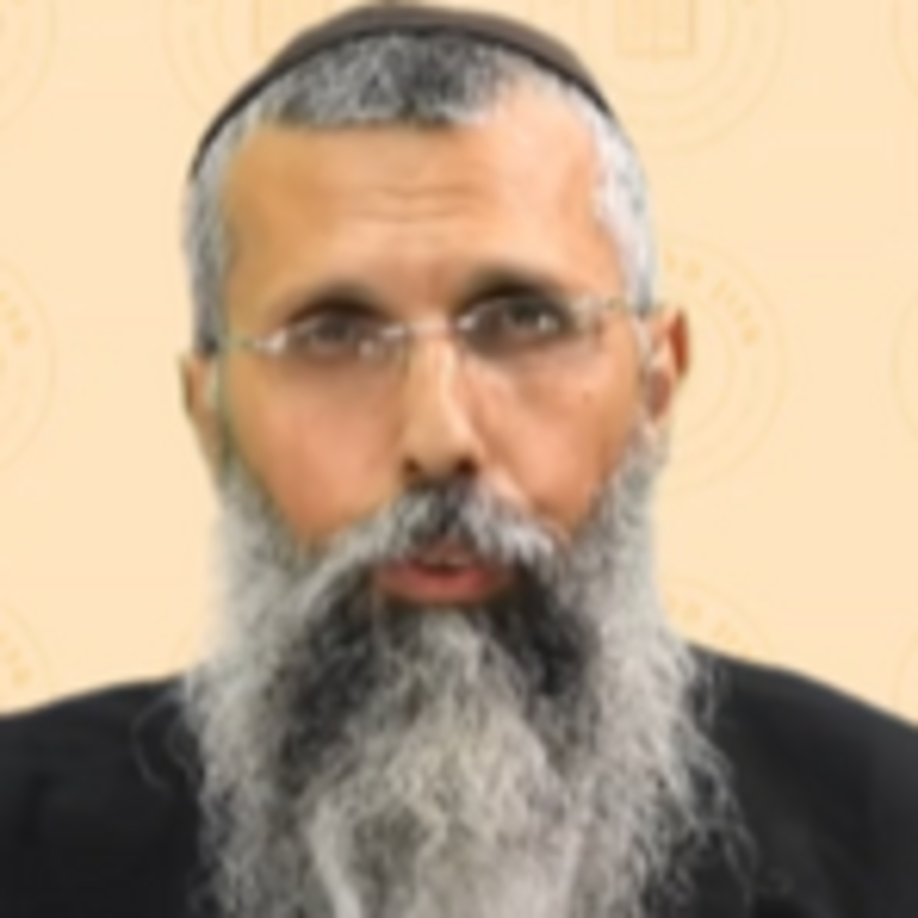 עשיית מלאכות שונות ביום טוב - הרב אייל פלד שליט"א episode artwork