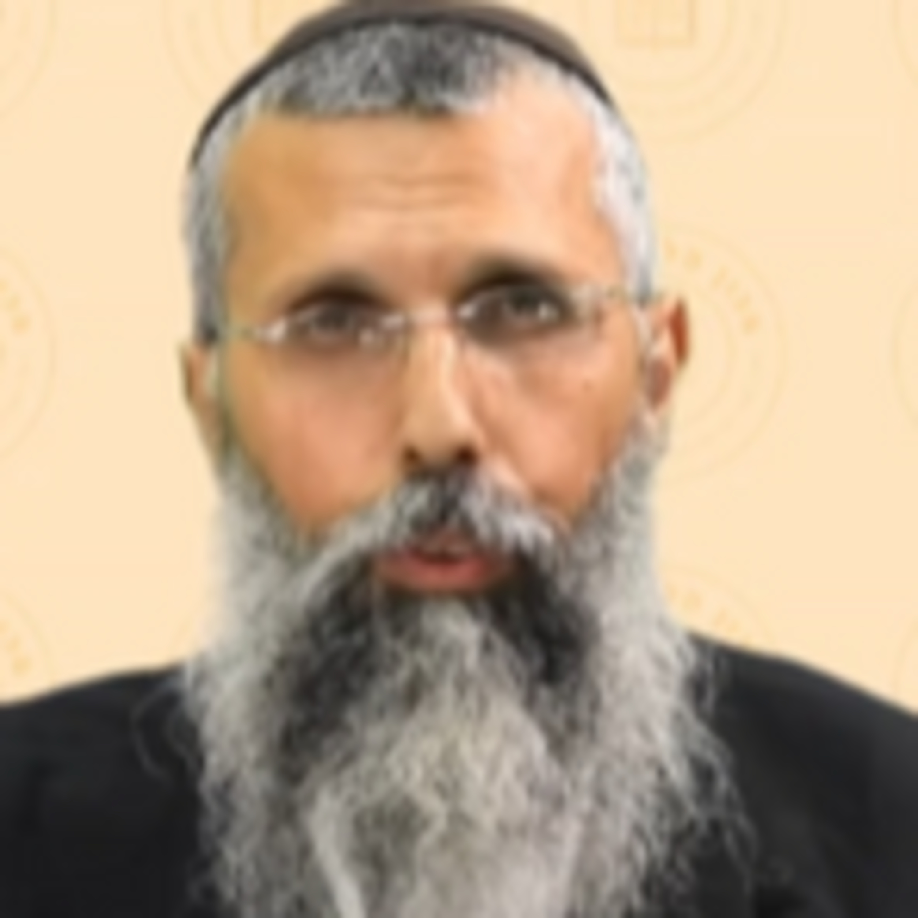מלאכת הבונה ביום טוב - הרב אייל פלד שליט"א episode artwork