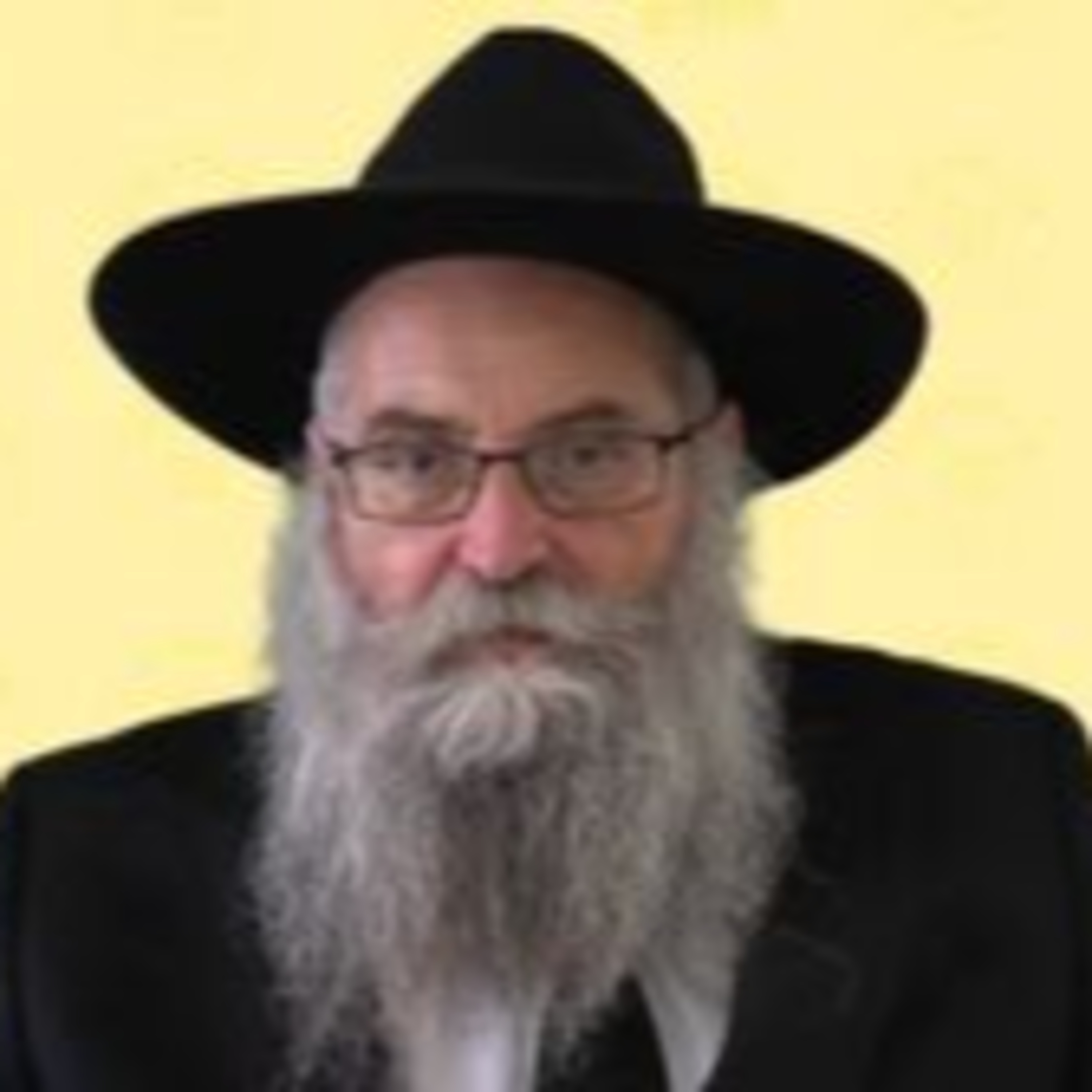 חינוך הילדים לחג הסוכות ושמחת תורה - הרב יוסף אברהם פיזם שליט"א episode artwork