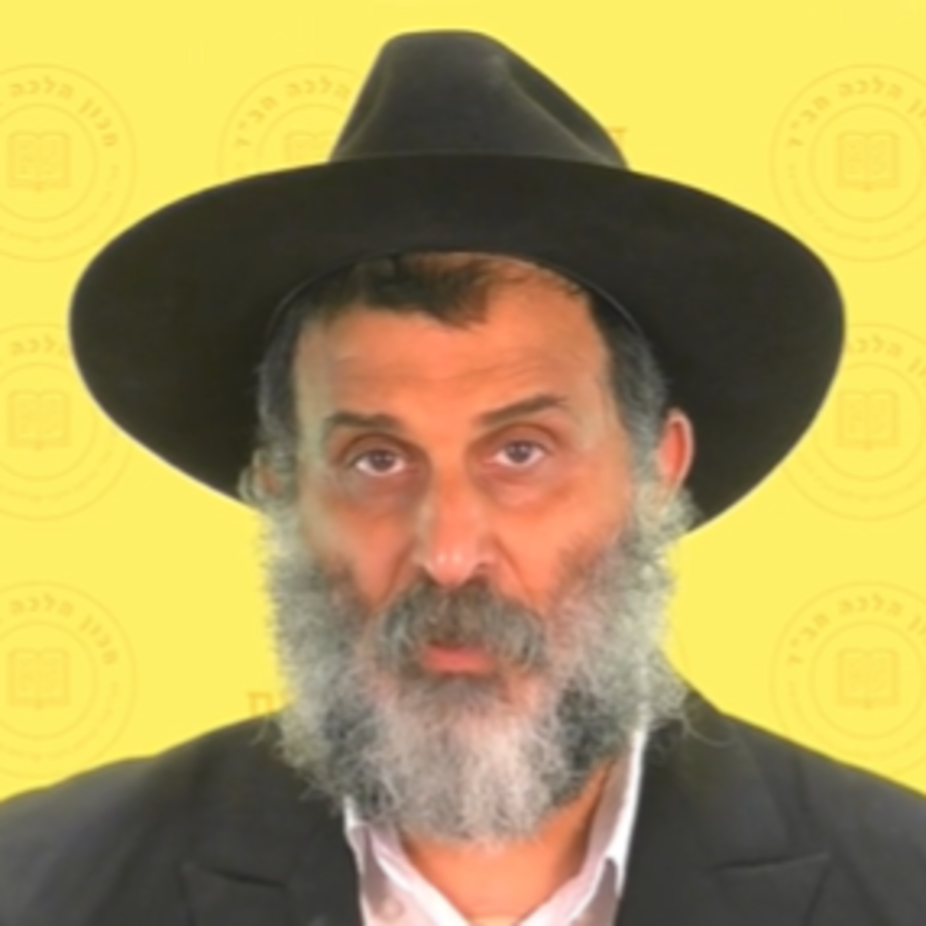 כיצד להחדיר תורה בילדינו? - הרב משה הלל שליט"א episode artwork
