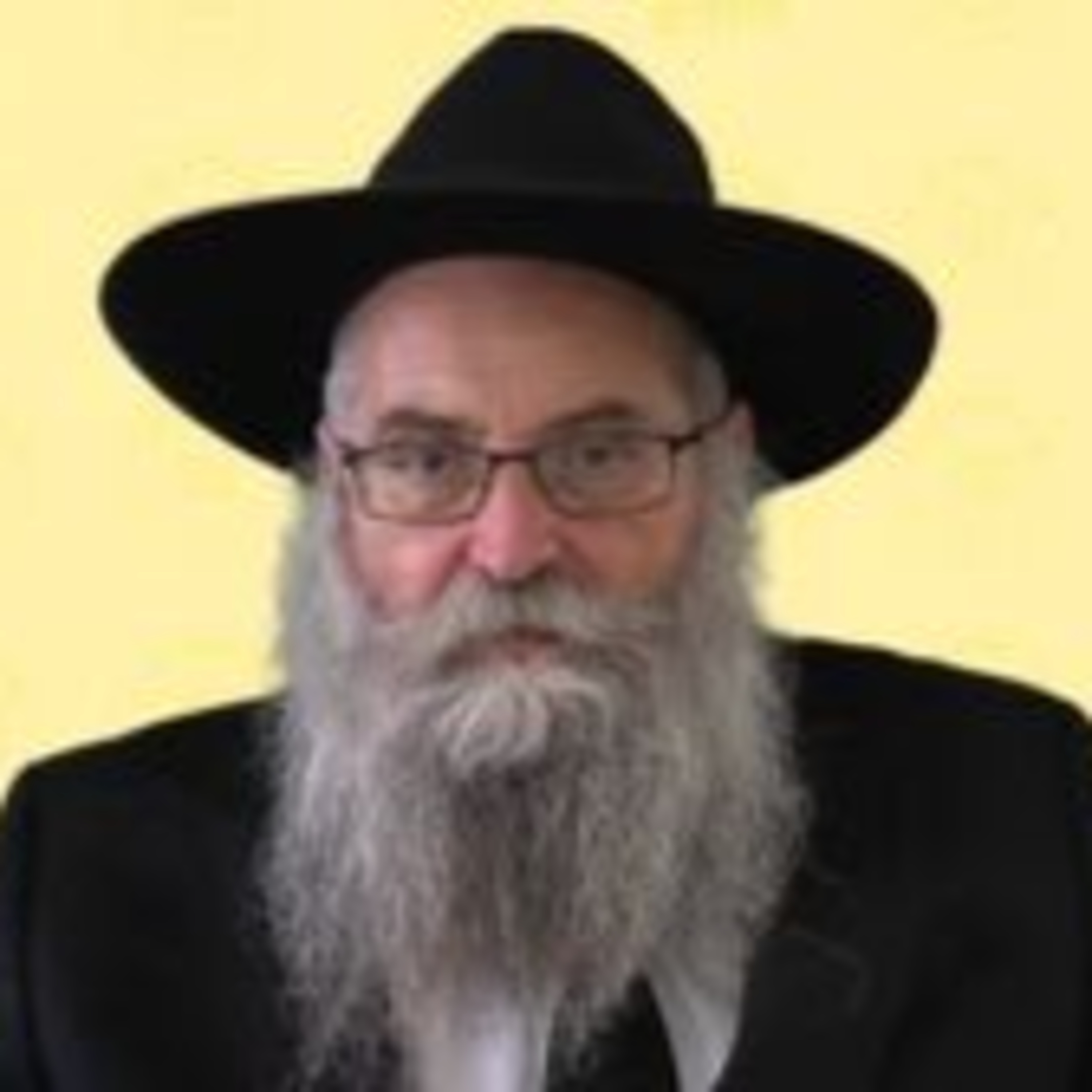 חינוך הילדים לחודש אדר - הרב יוסף אברהם פיזם שליט"א episode artwork