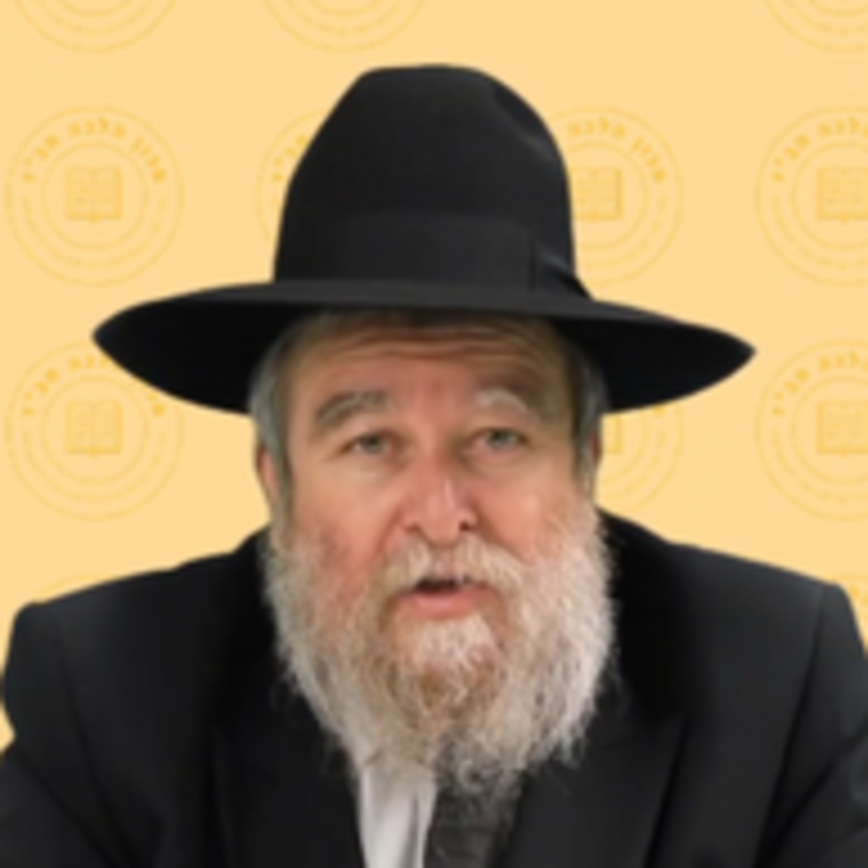 שמיטת כספים - הרב אליעזר ברוד שליט"א episode artwork
