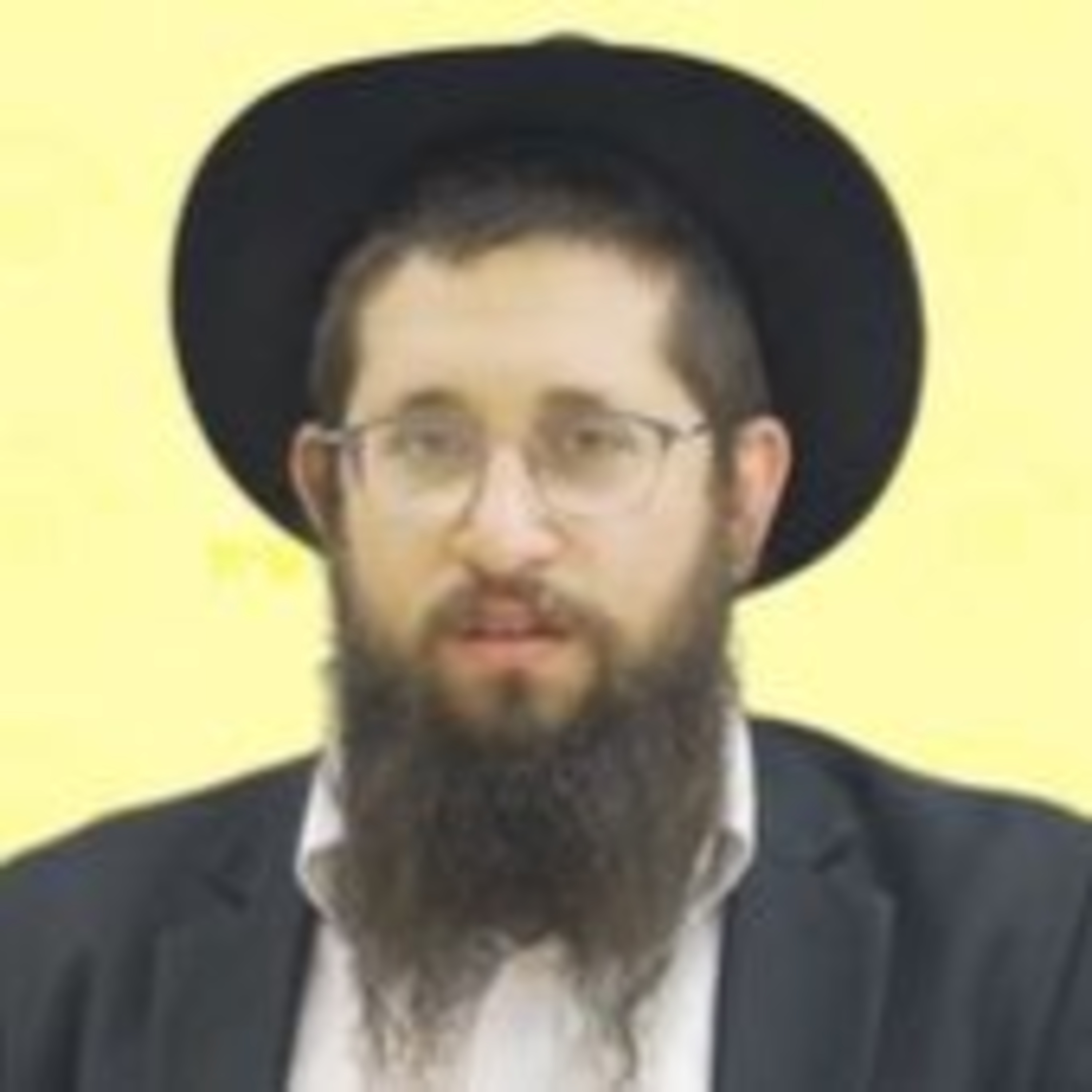 גדרו ההלכתי של מלך המשיח - הרב שלום דובער וולף שליט"א episode artwork