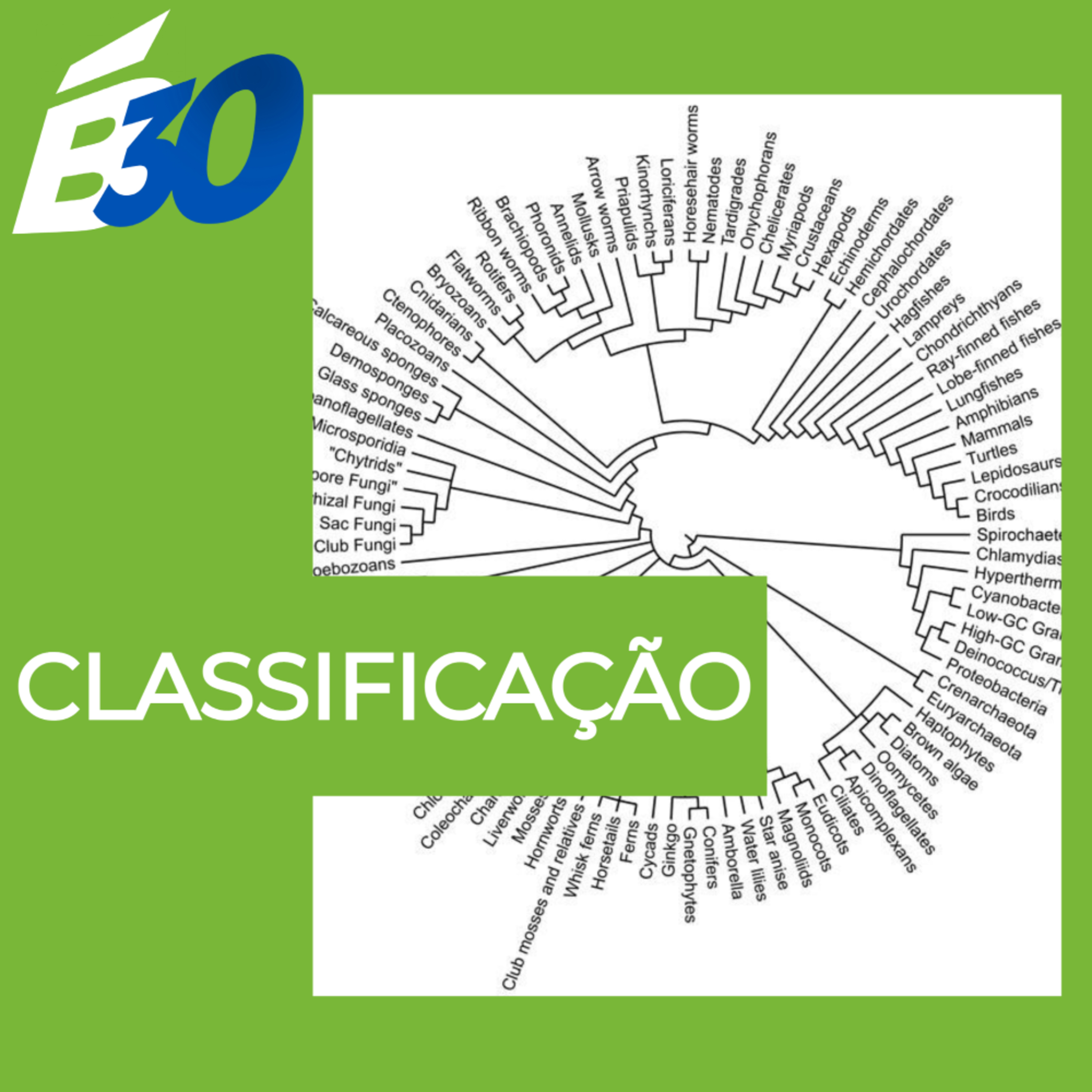 Biologia em Meia Hora