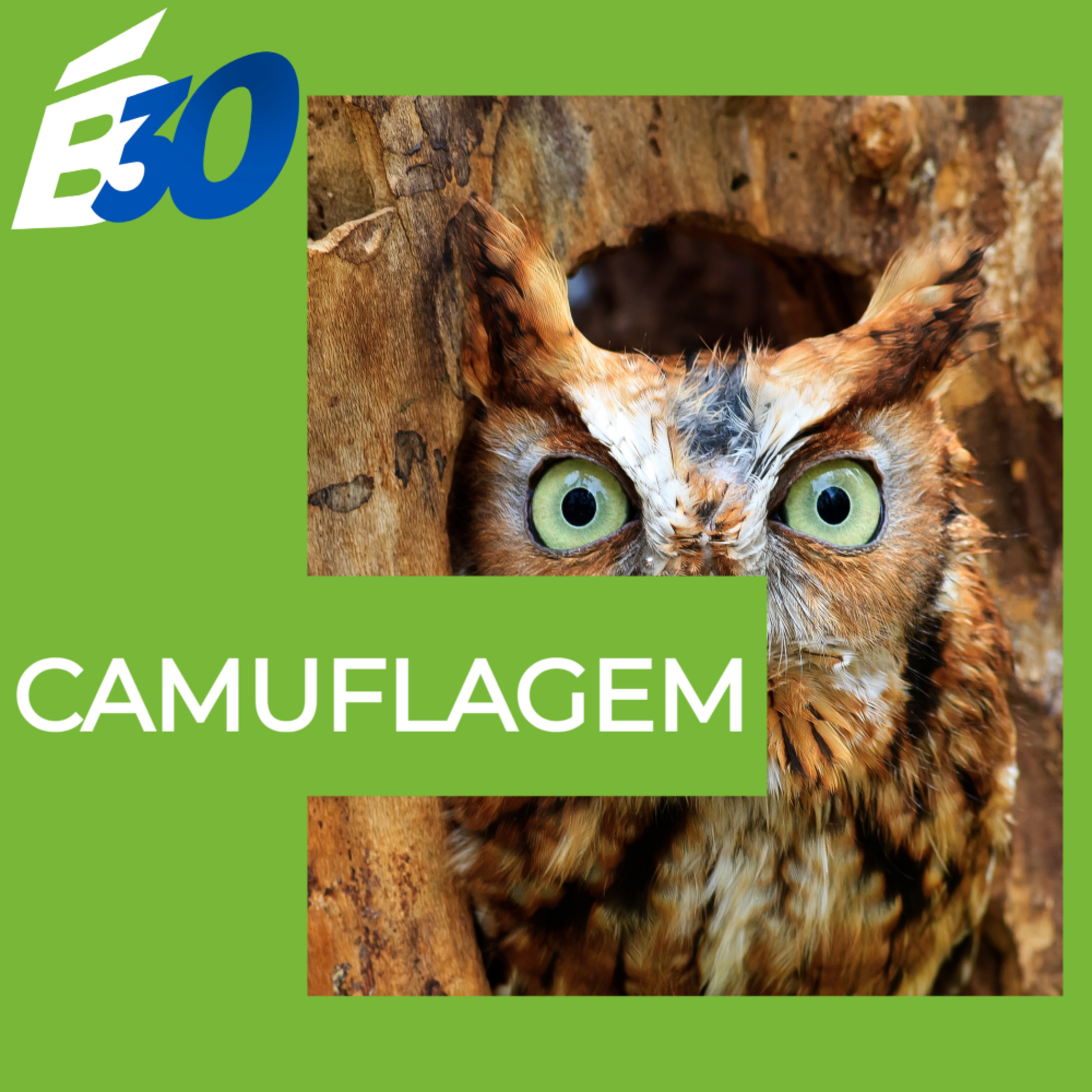 Biologia em Meia Hora