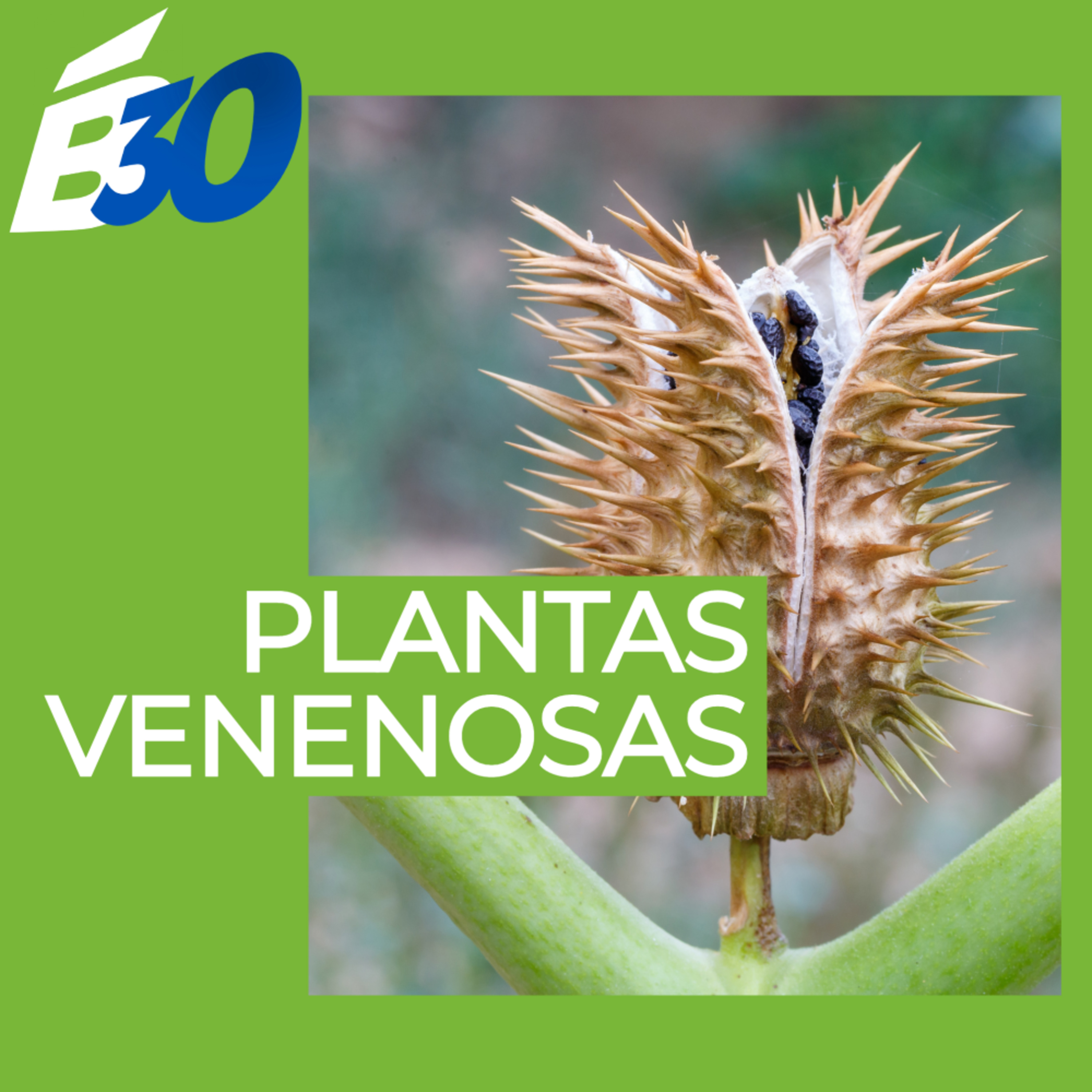 Biologia em Meia Hora