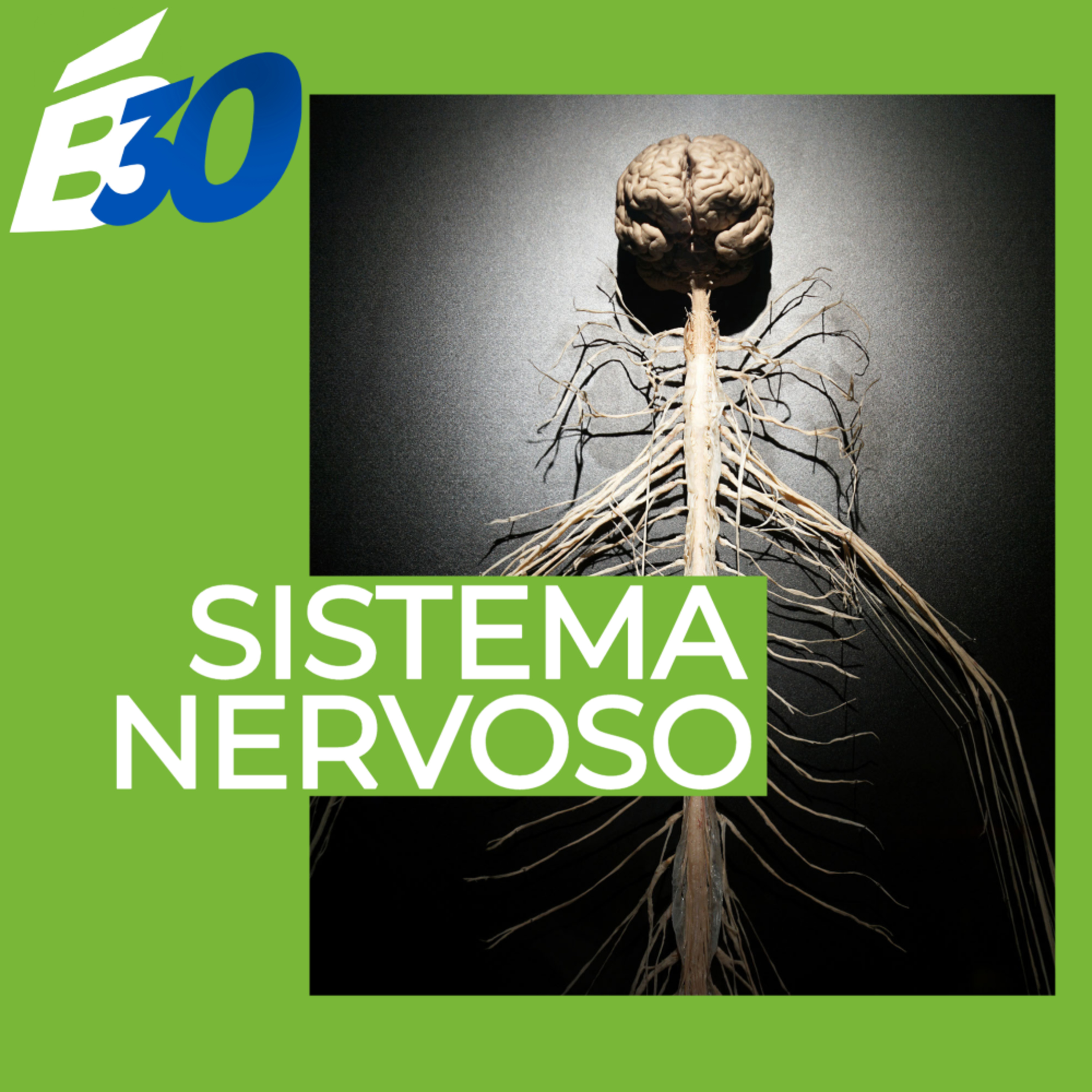 Biologia em Meia Hora