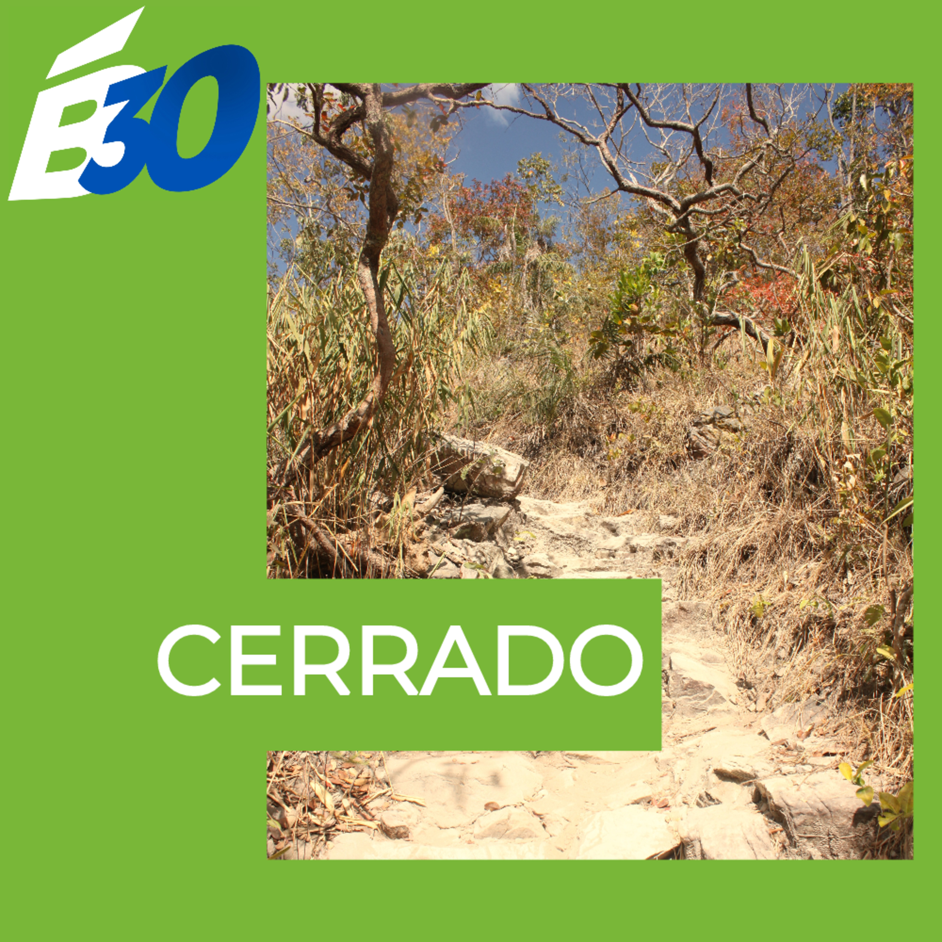 Cerrado: a floresta subterrânea que abastece as torneiras do Brasil episode artwork
