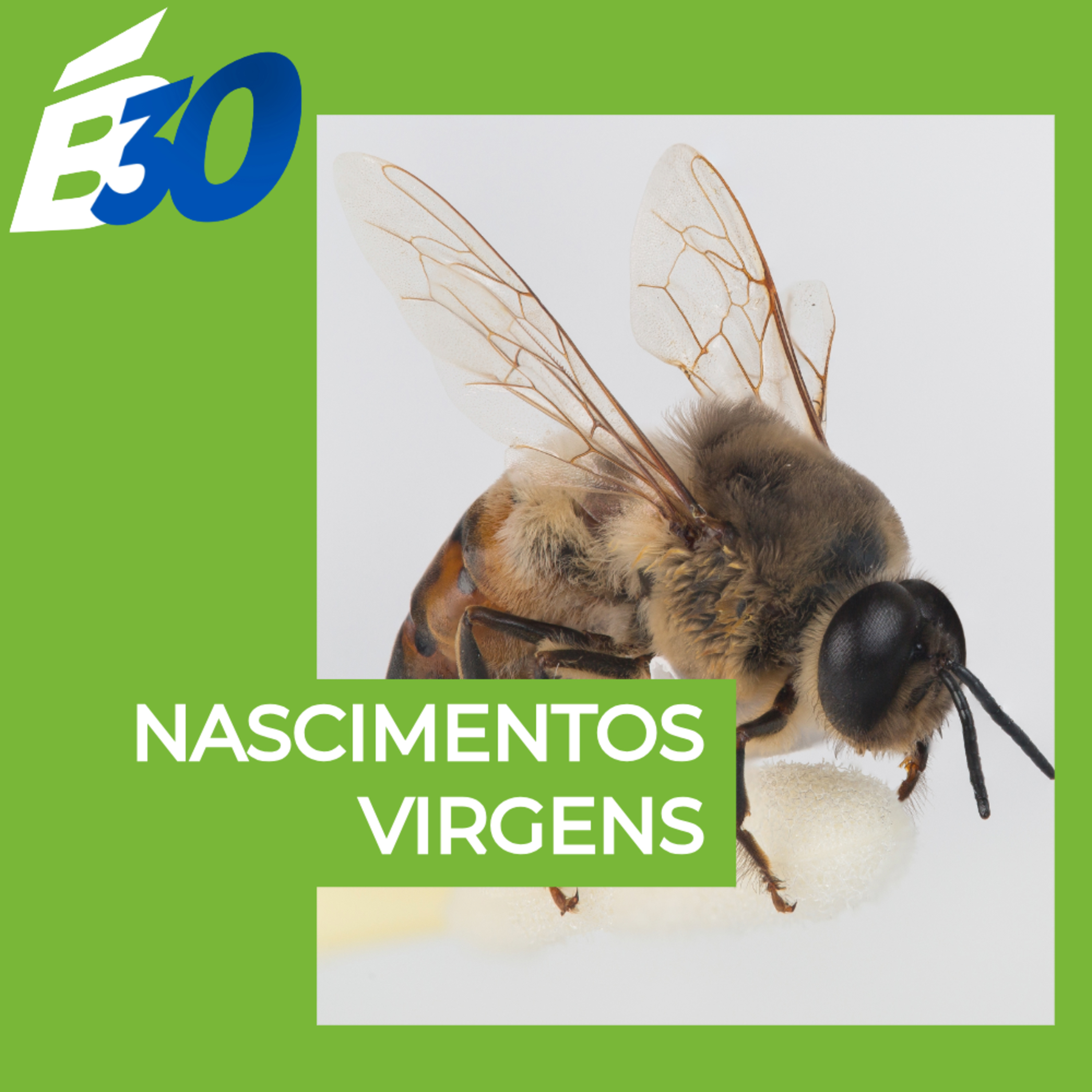 Biologia em Meia Hora
