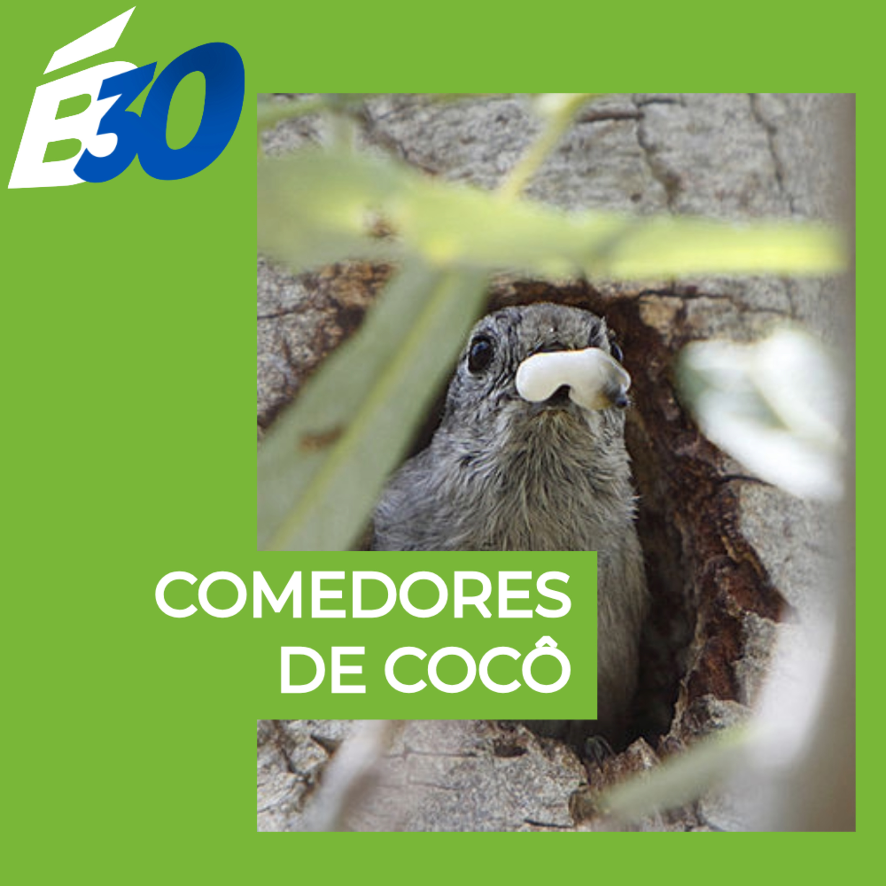 Biologia em Meia Hora