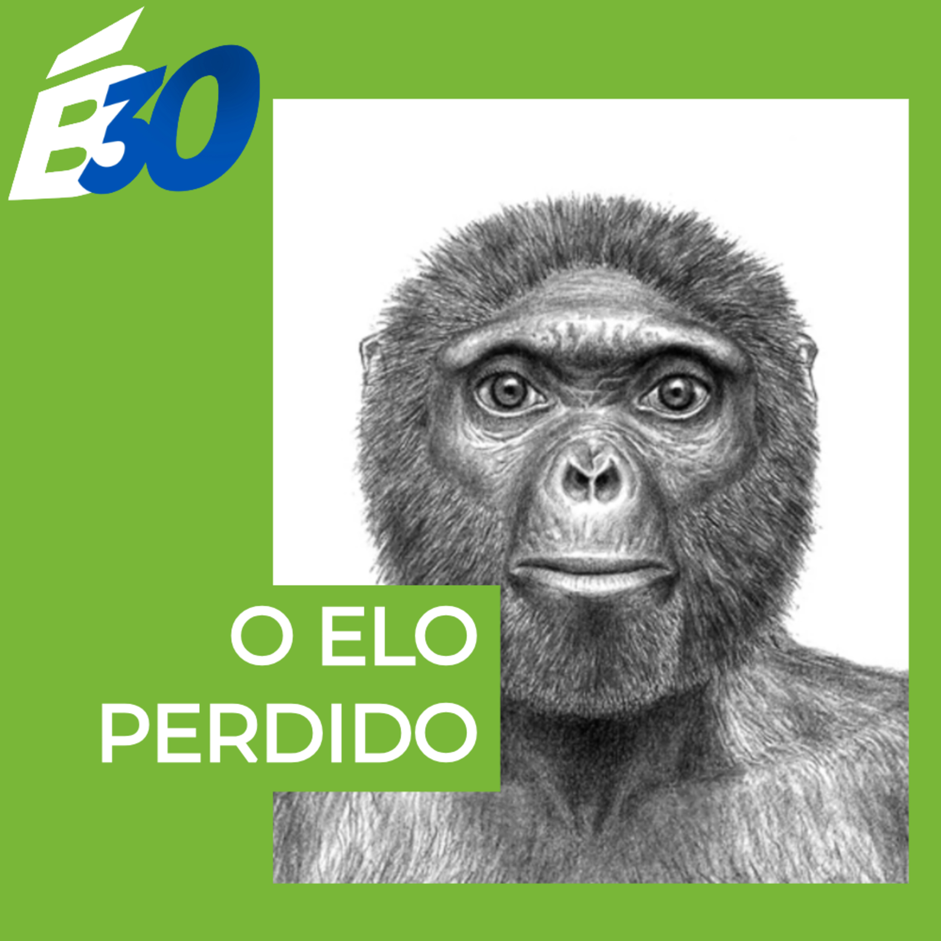 Biologia em Meia Hora