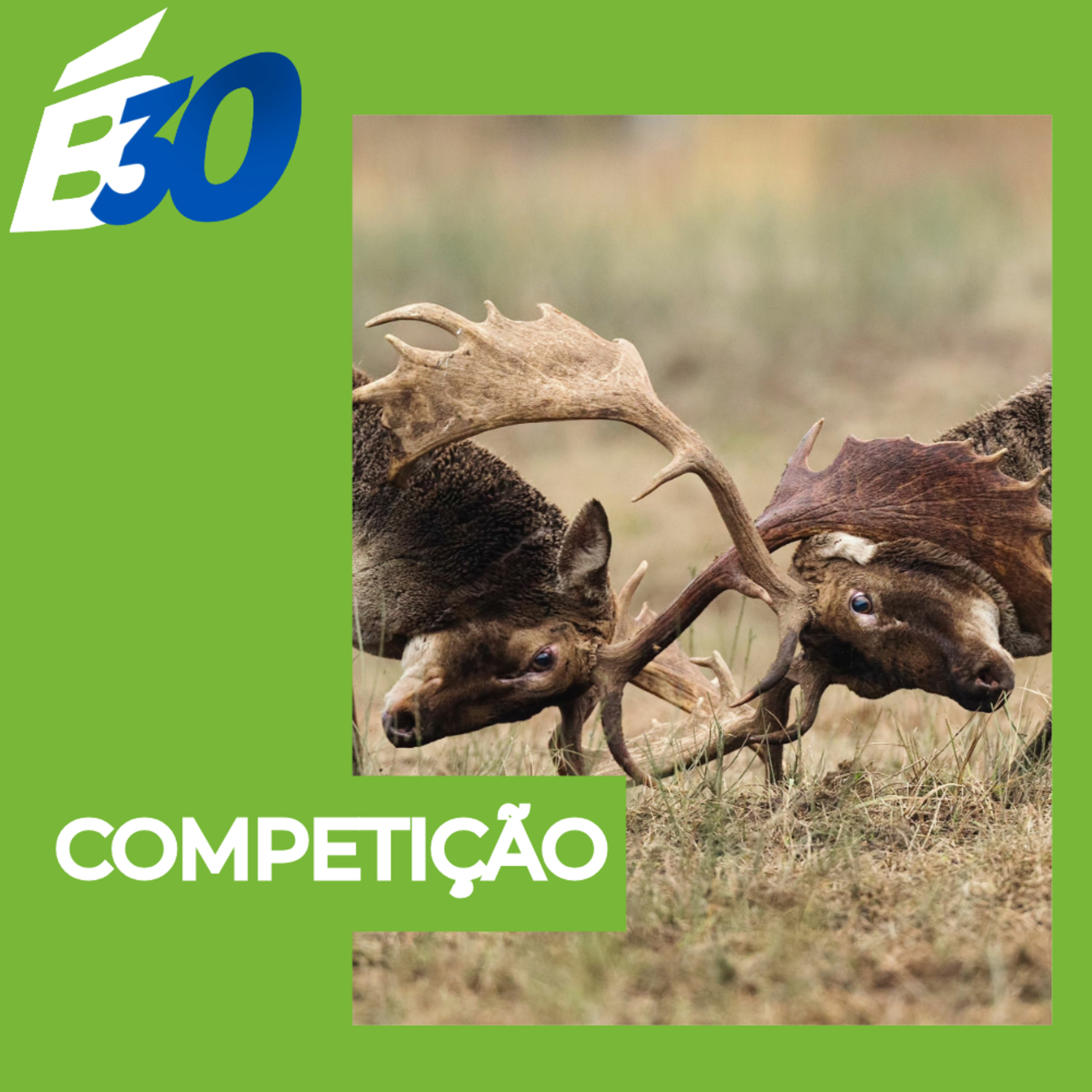 Biologia em Meia Hora