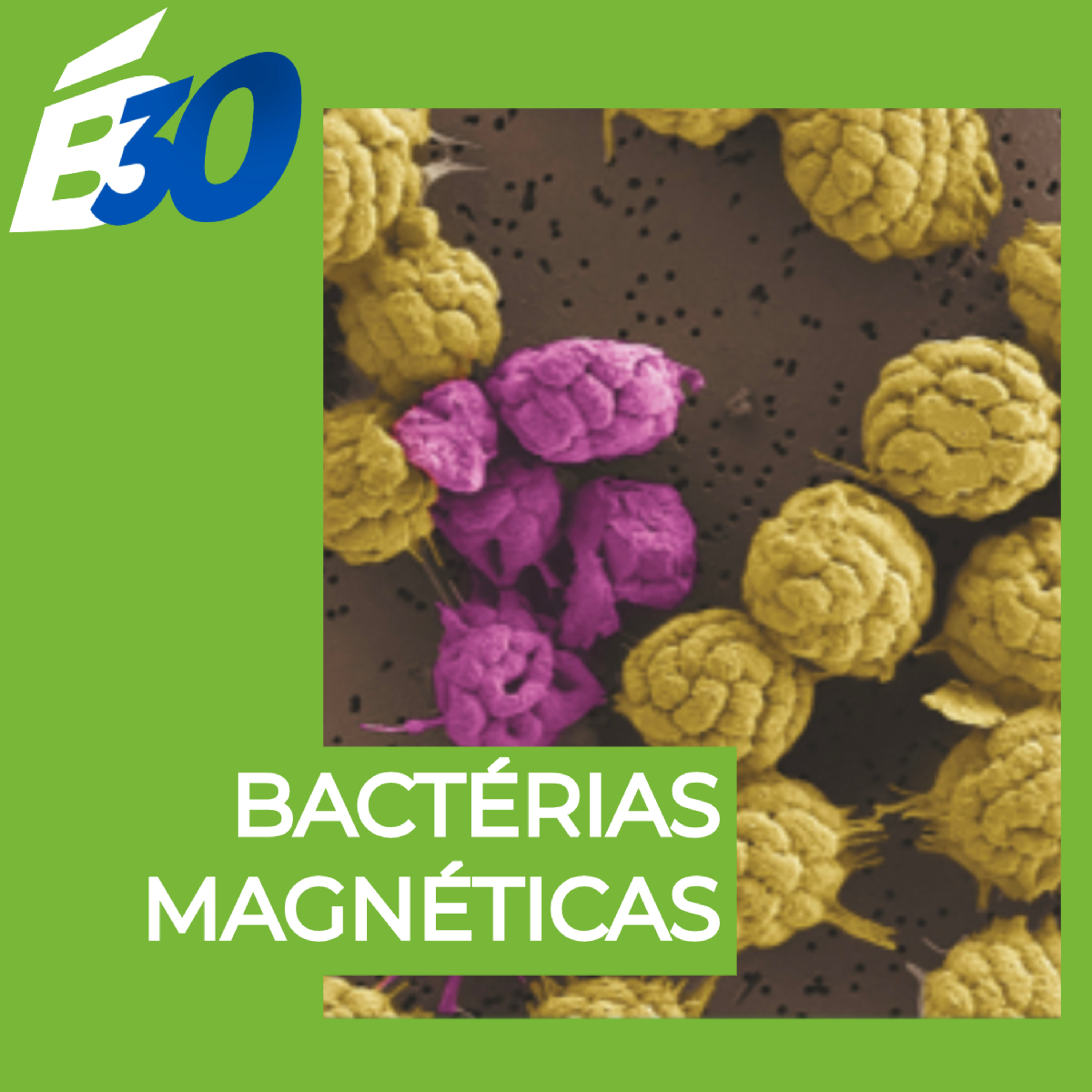 Biologia em Meia Hora