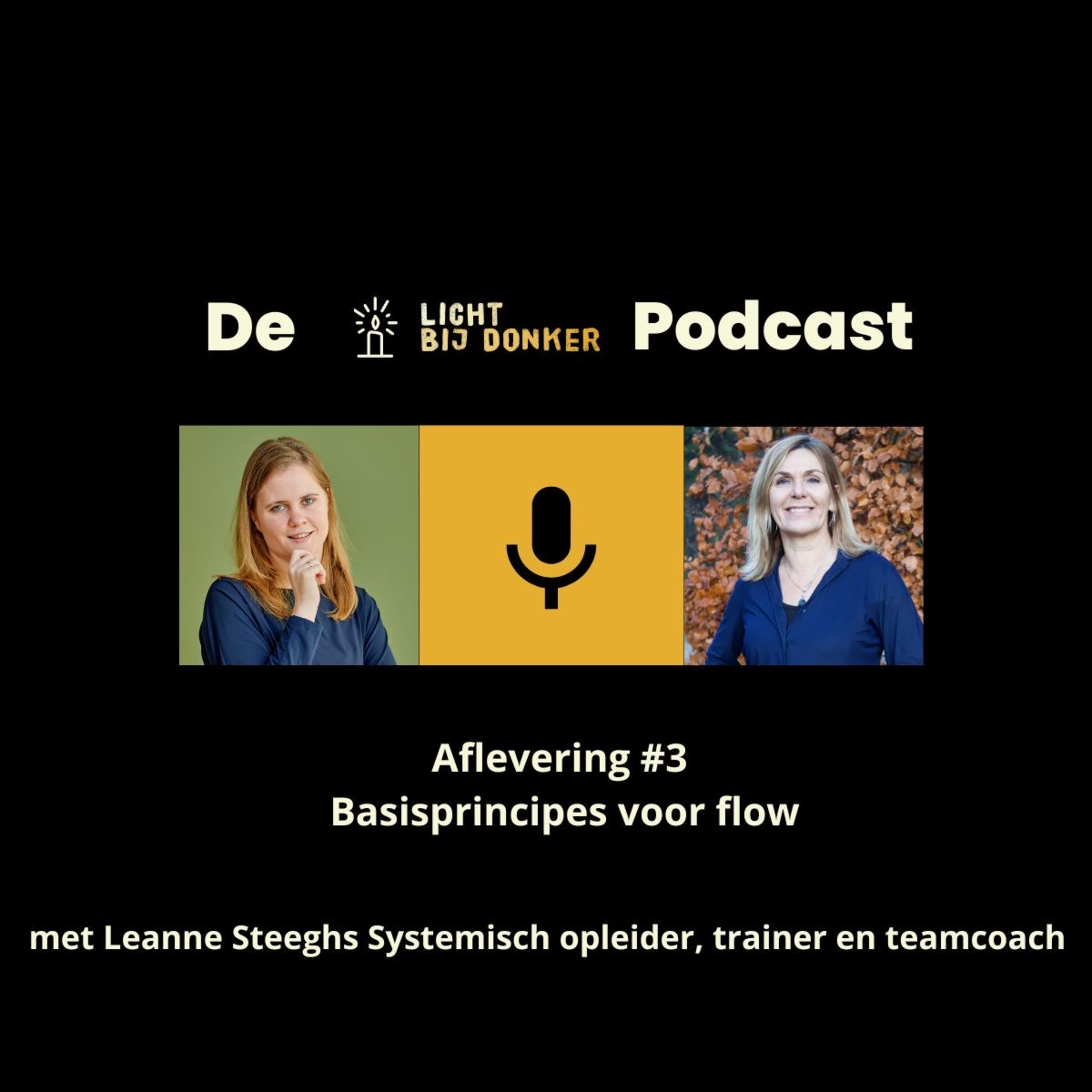 De Licht bij Donker Podcast