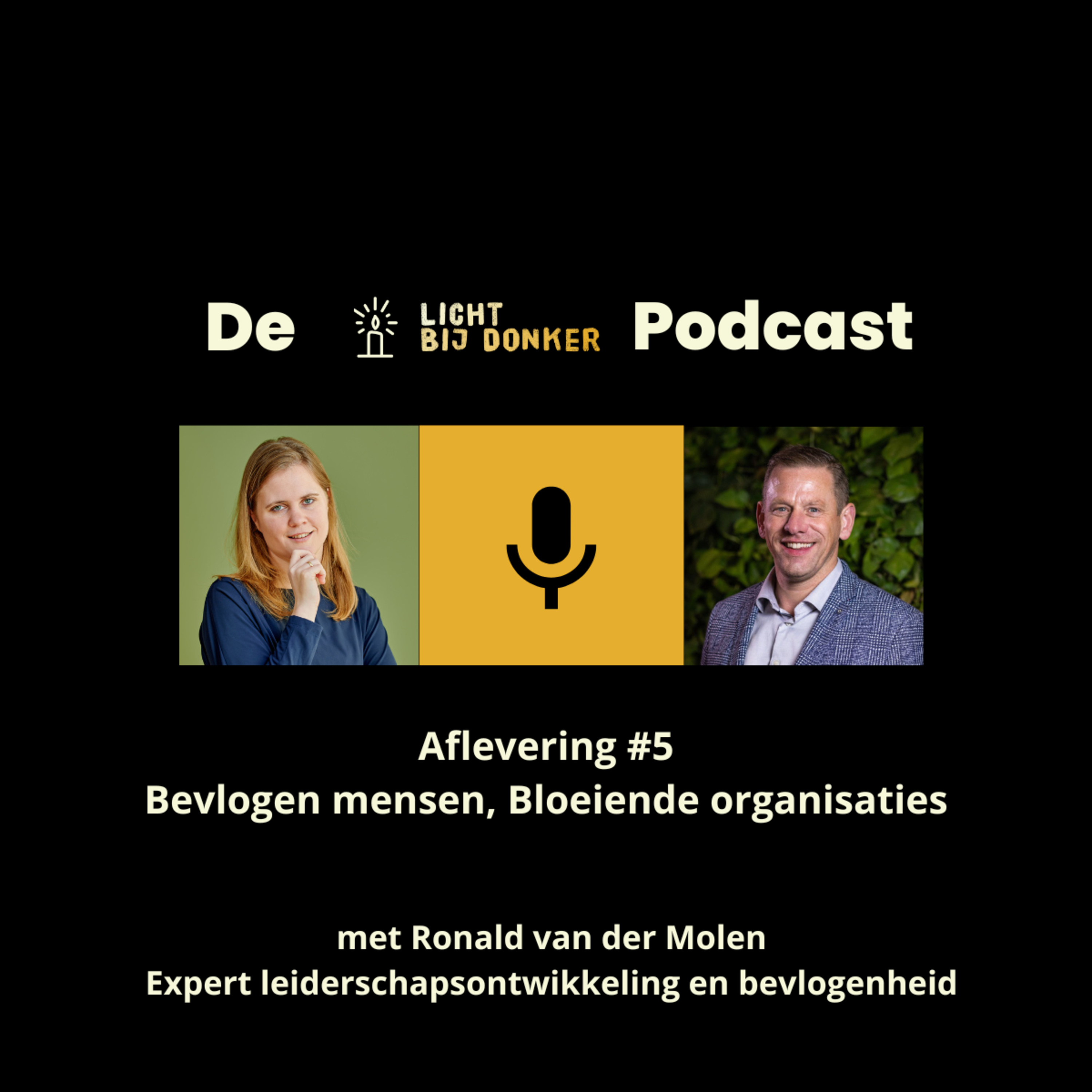 De Licht bij Donker Podcast