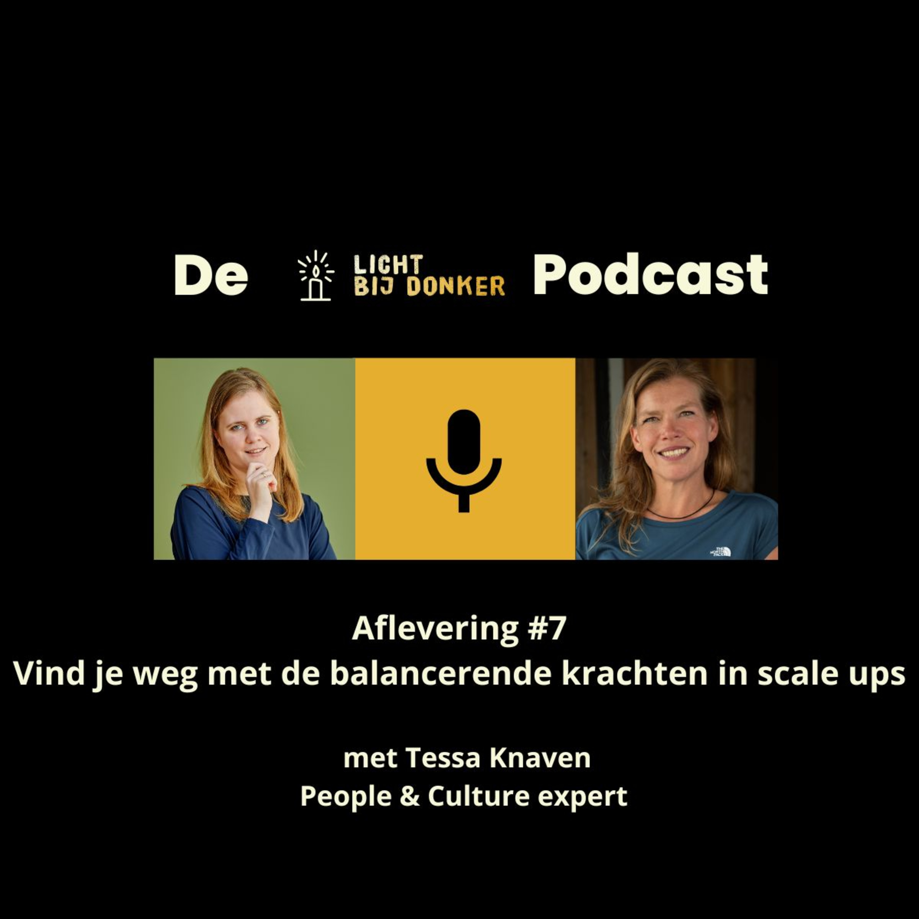 De Licht bij Donker Podcast
