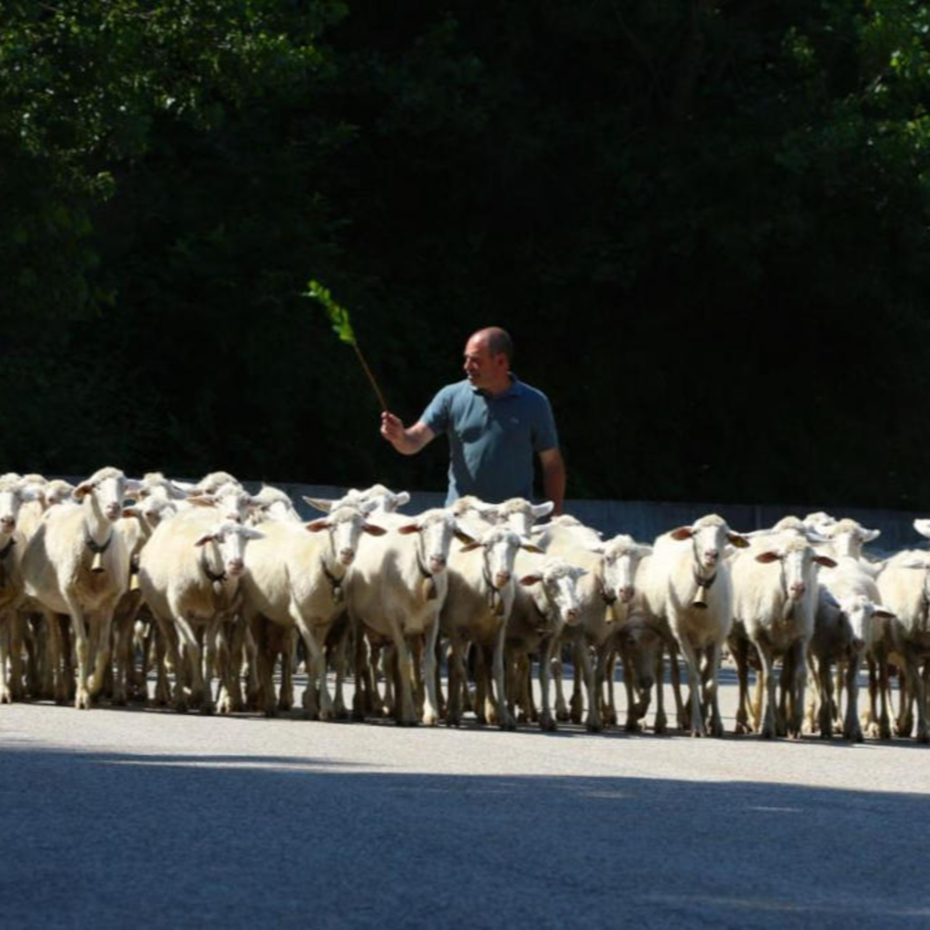 l\'angolo di donpi
