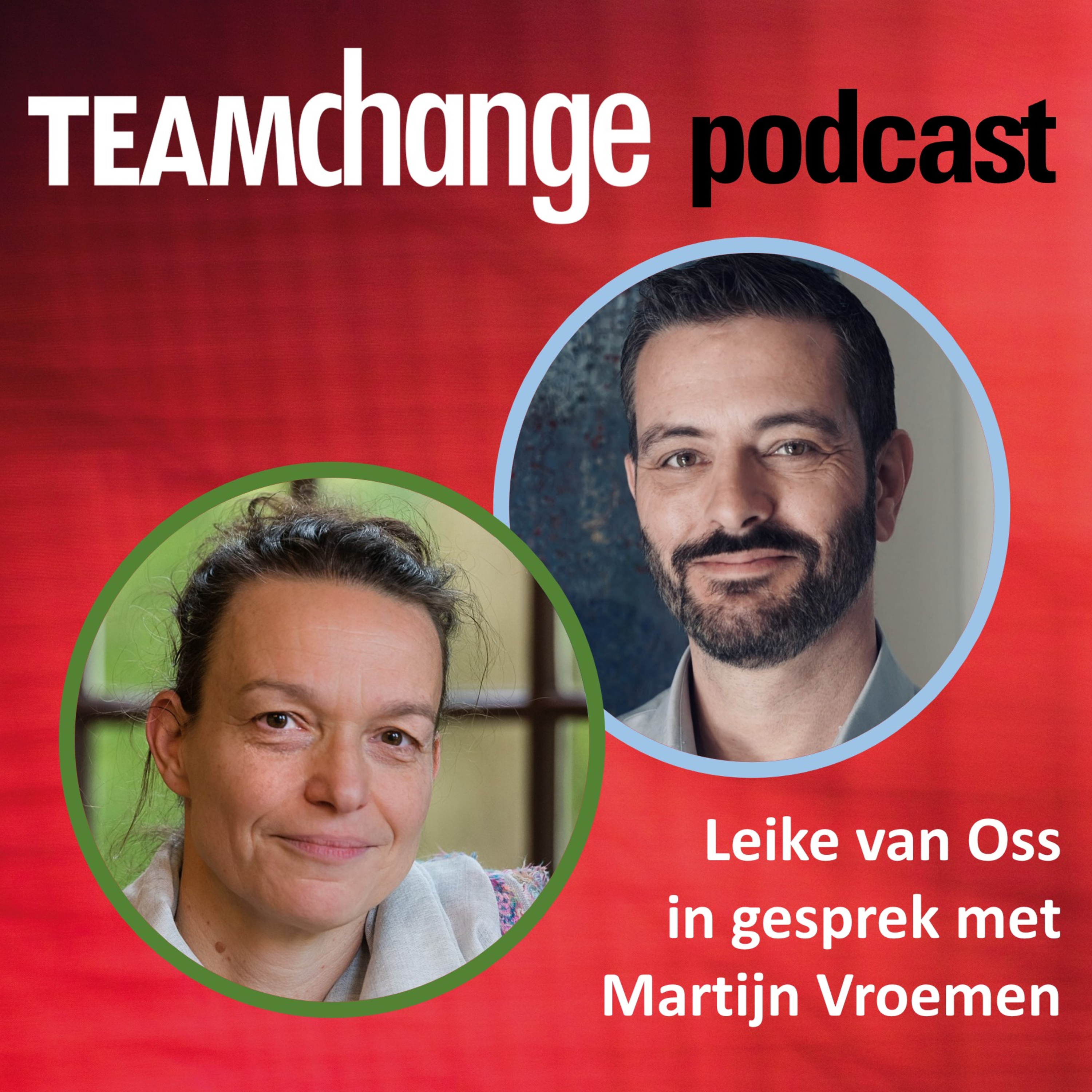 Teamchange Podcast - Martijn Vroemen