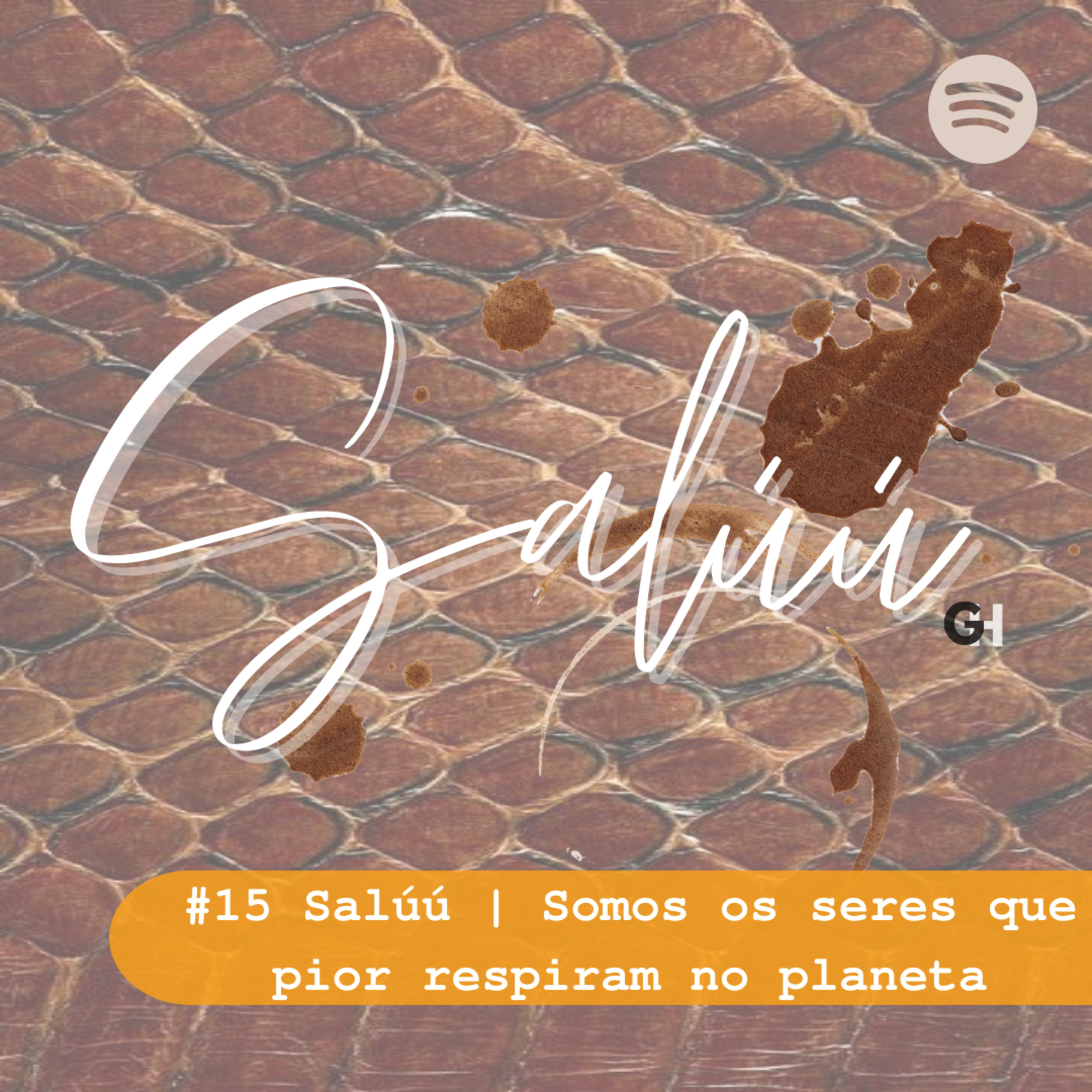 Salúú!