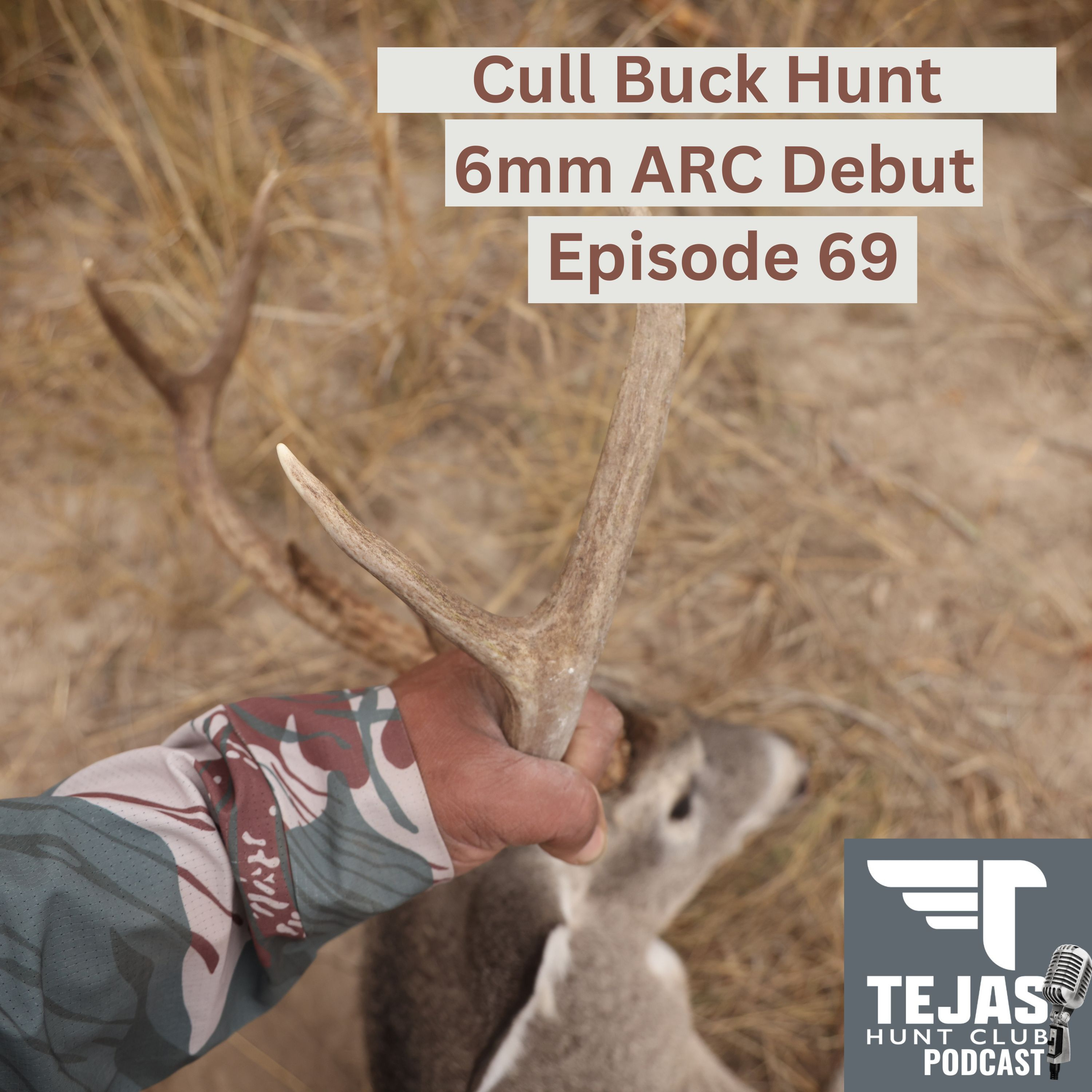 #69 Cull Buck Down - 6mm ARC Debut  episode artwork