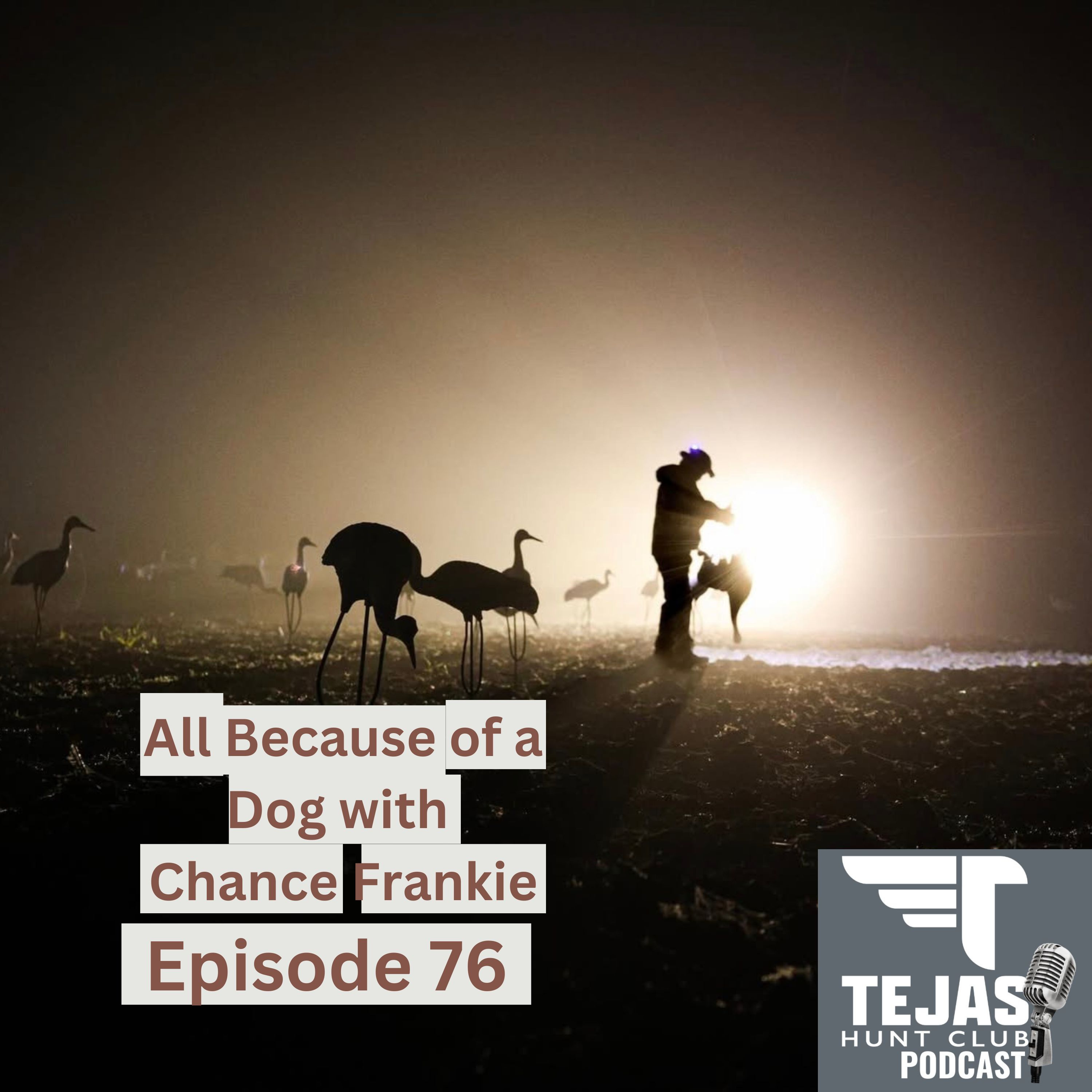 #76 - All Because of a Dog with Chance Frankie  episode artwork