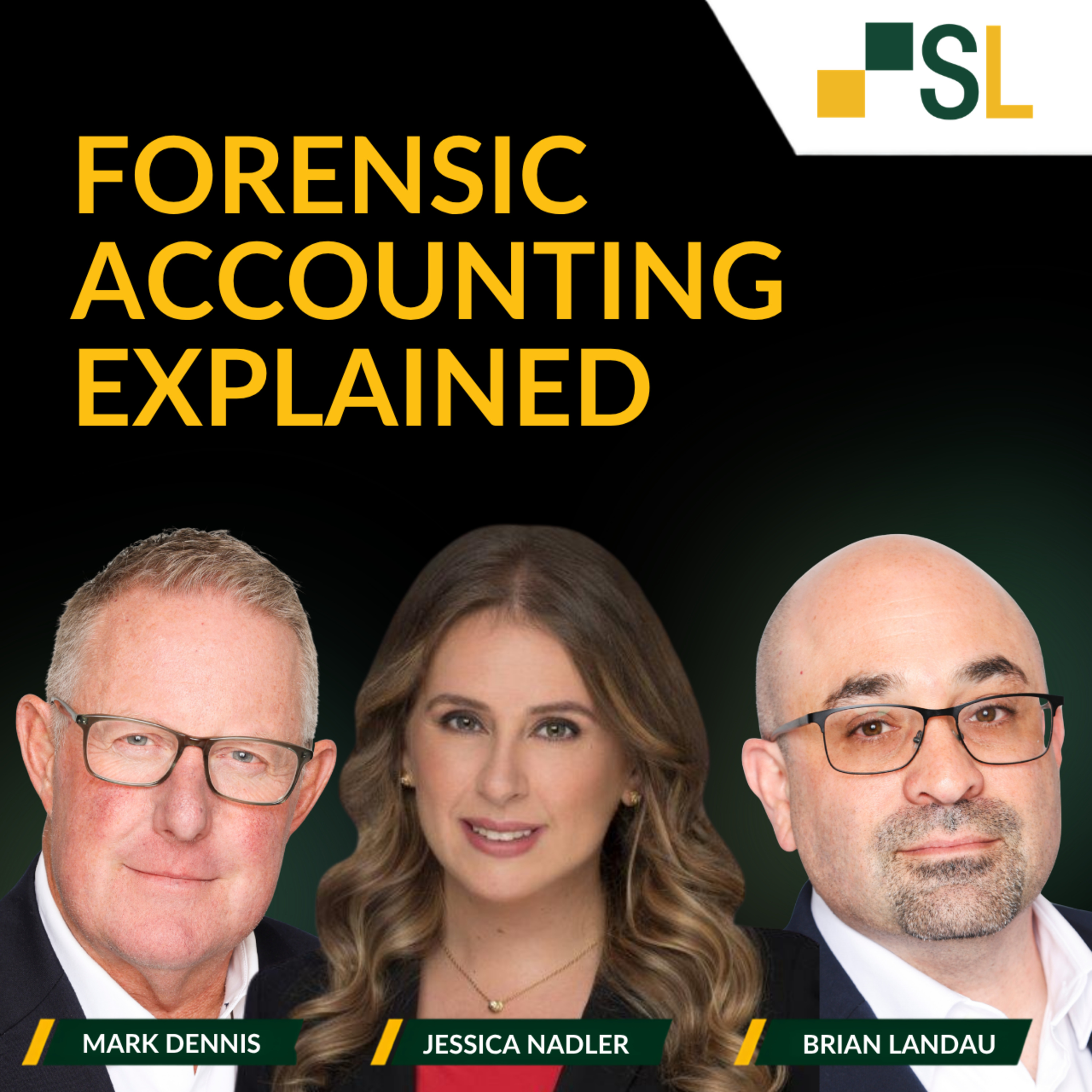 Forensic Accounting Explained 