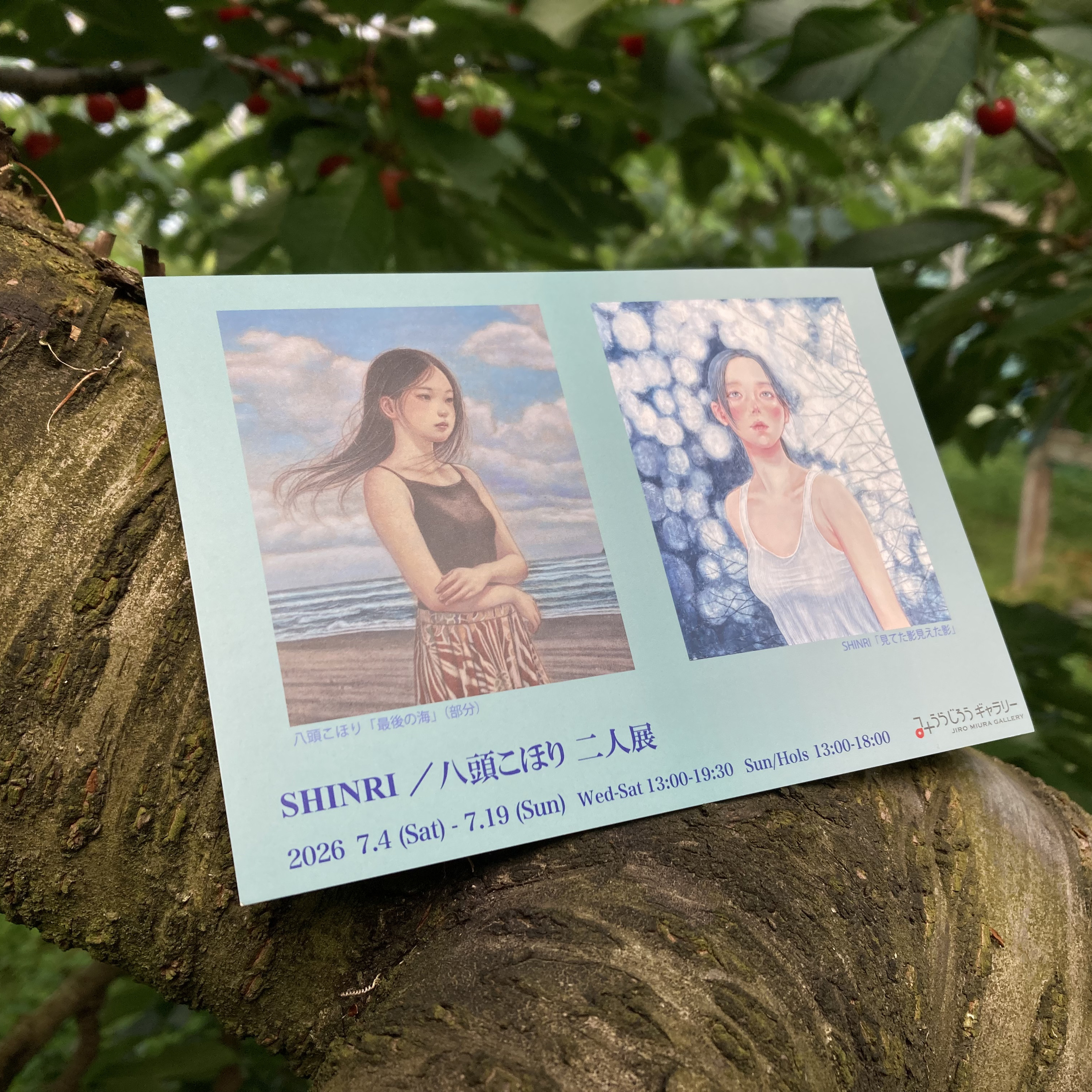 #77 「SHINRI/八頭こほり 二人展」7/4スタートの巻 episode artwork