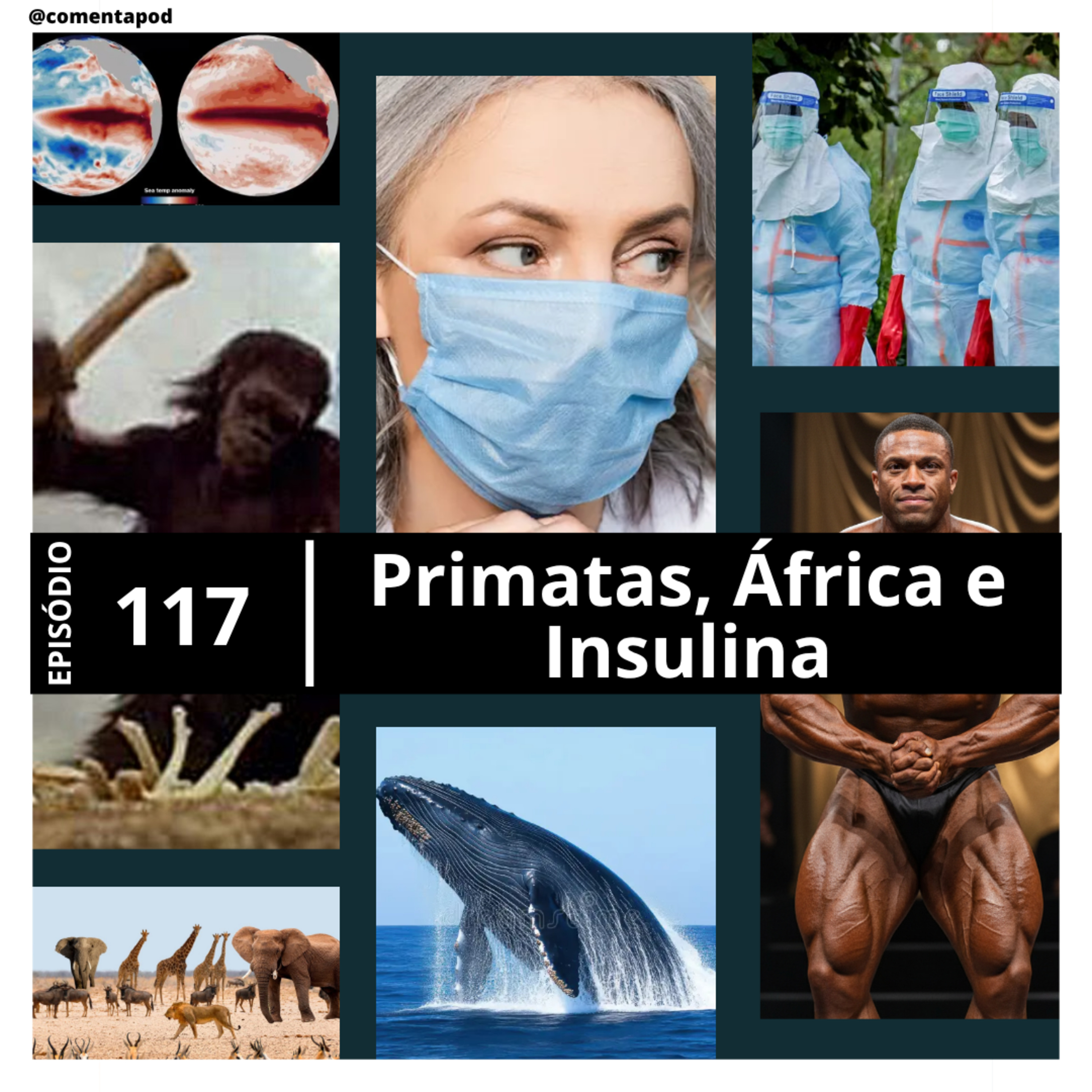 Episódio 117 - Primatas, África e Insulina episode artwork